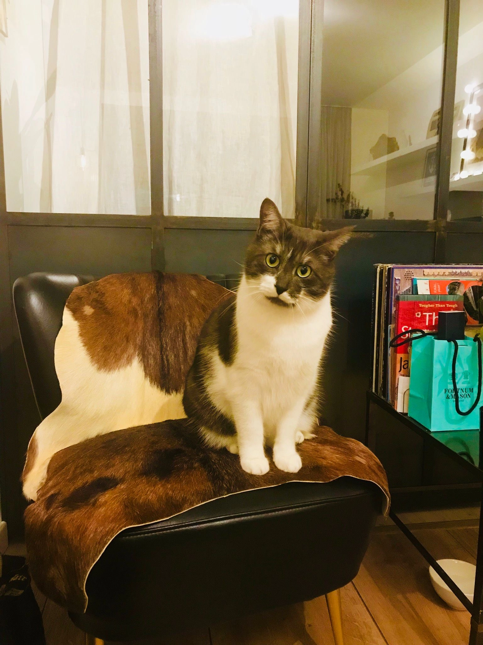 Fernand - Rue Emile Lecomte 11, Uccle