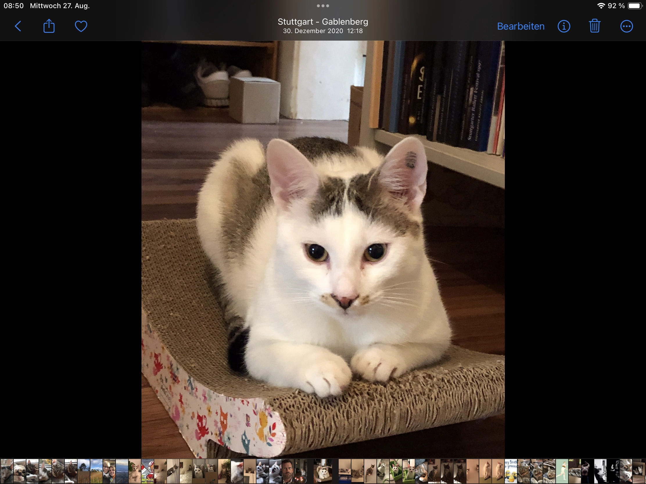 Dottie - Lembergstraße, Stuttgart