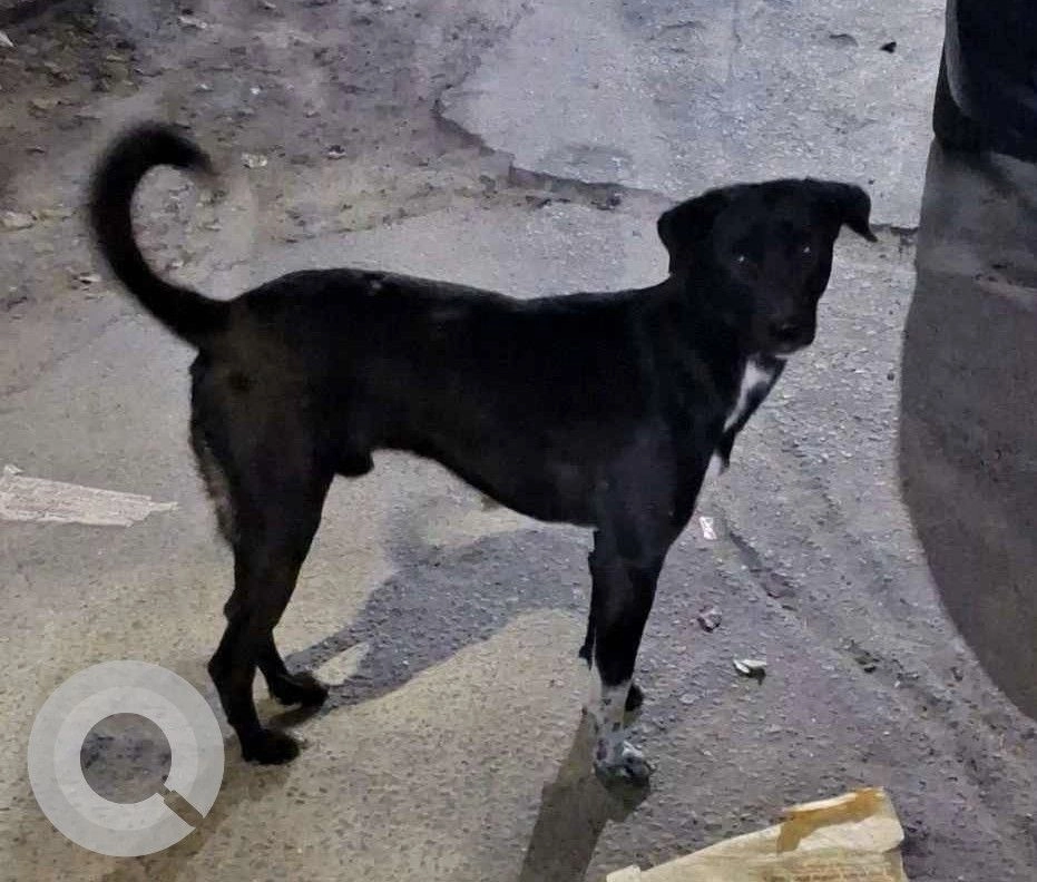 Veeru - Maharaja Agrasen Marg, New Delhi