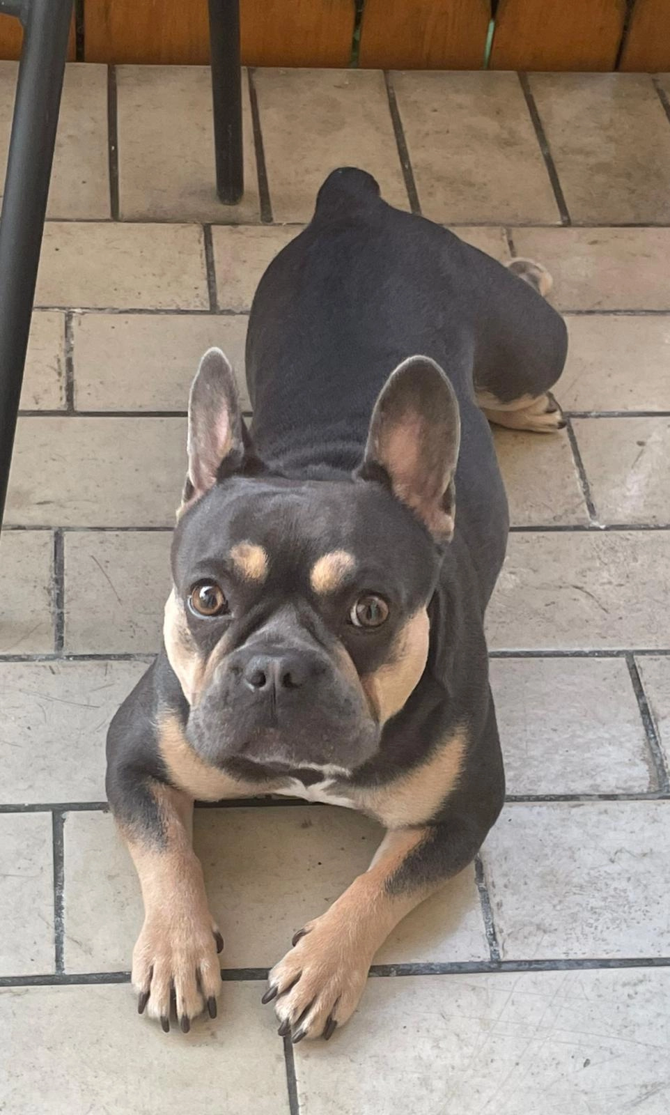 Lia - Veilchenweg, Bisingen