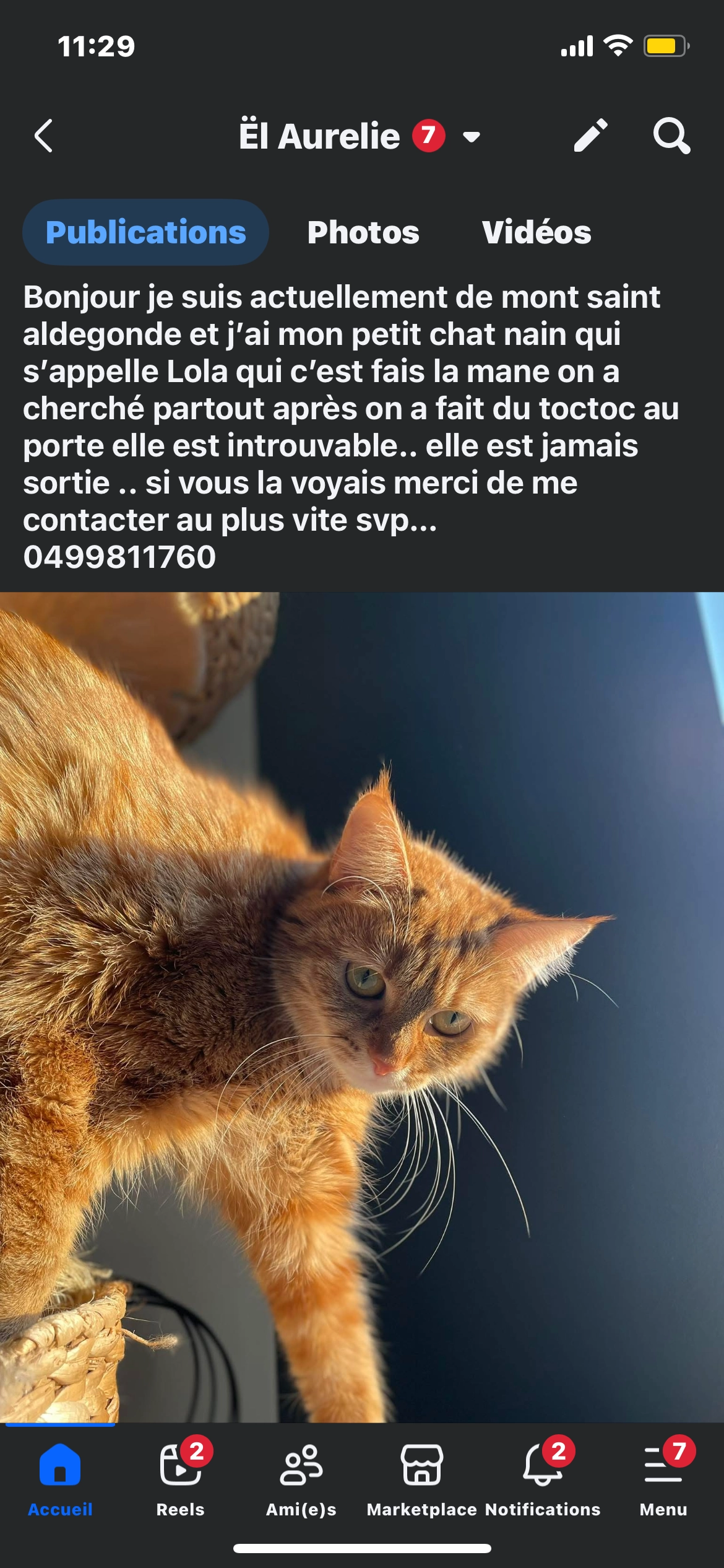 Lola - Rue de la Rosière, Morlanwelz