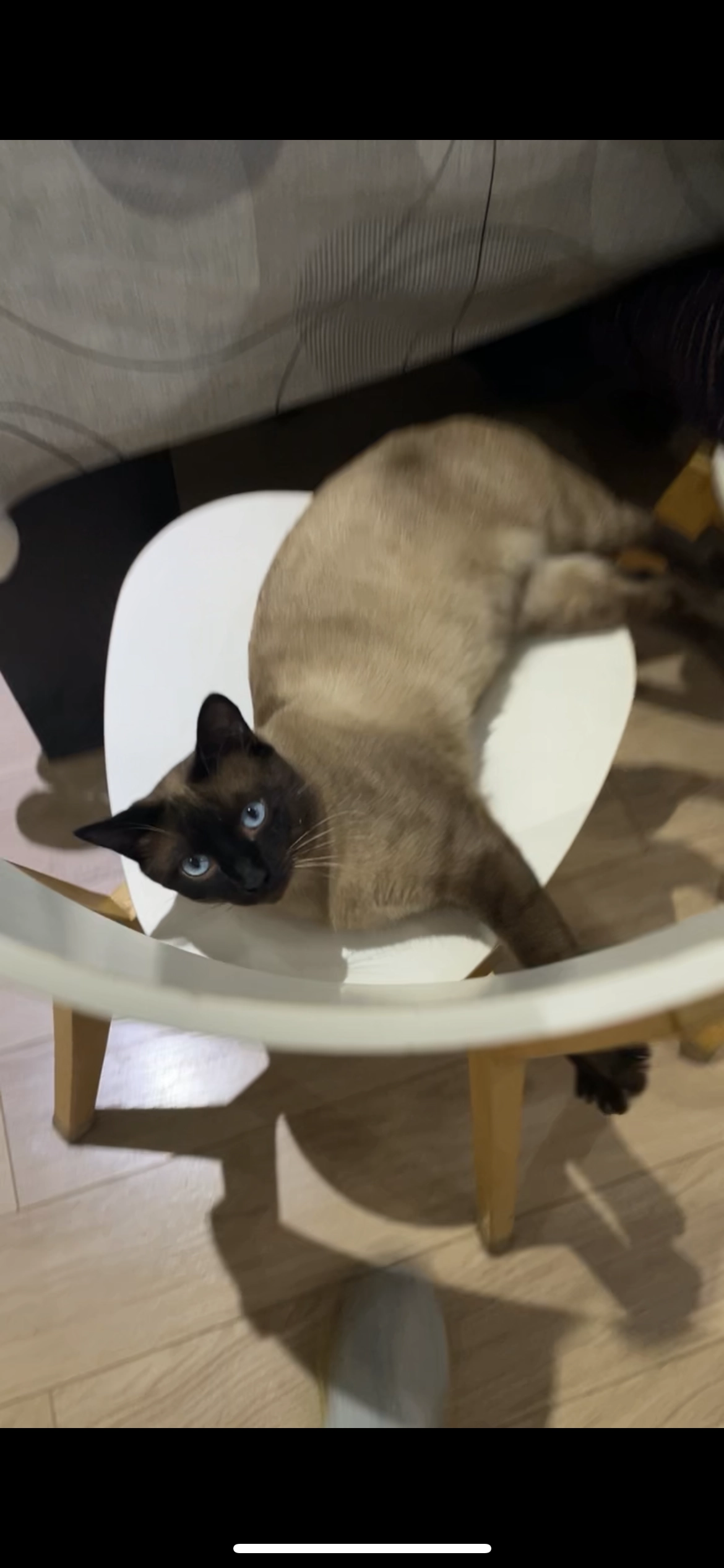 Milou - 36 Boulevard Gambetta, Saint-Quentin