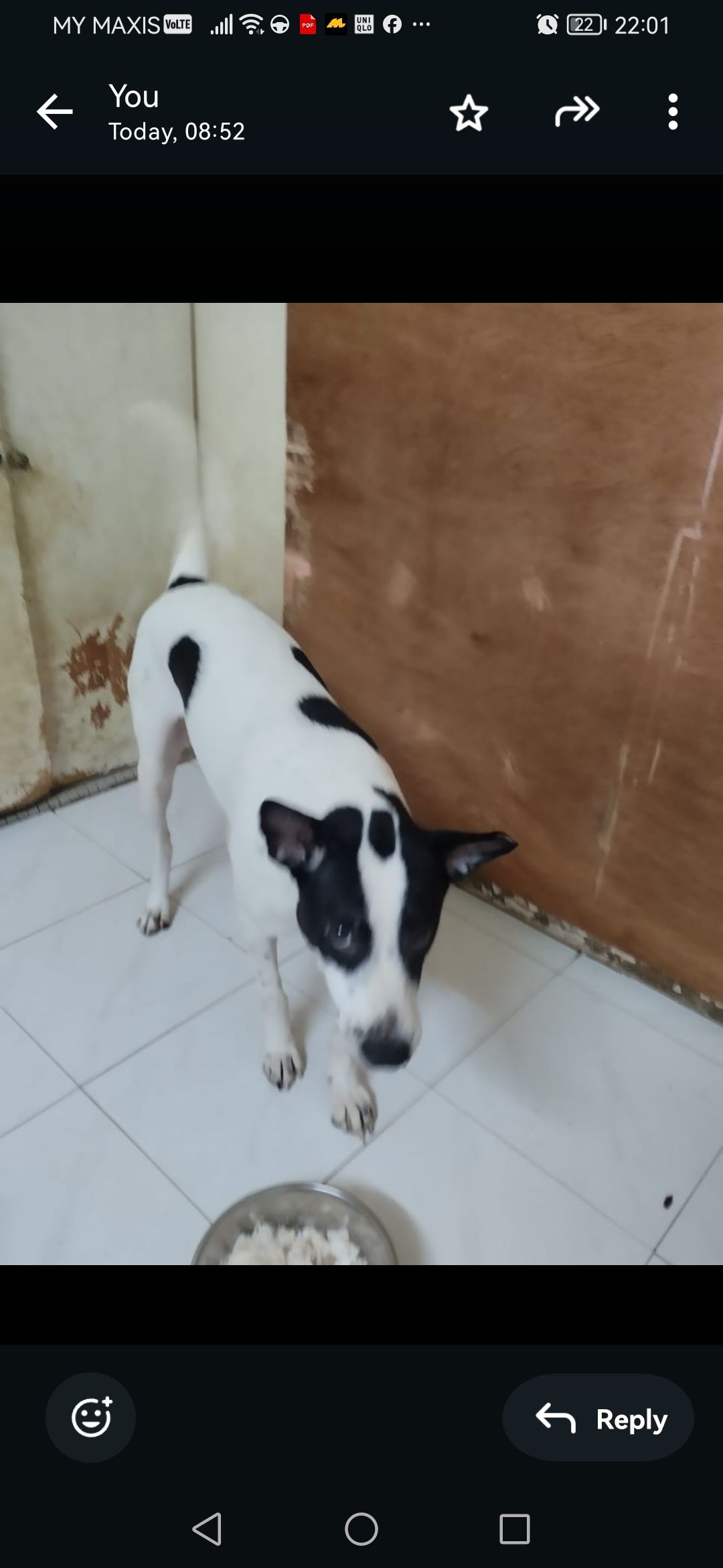 Raccoon - Jalan JKR Salak Selatan, Kuala Lumpur