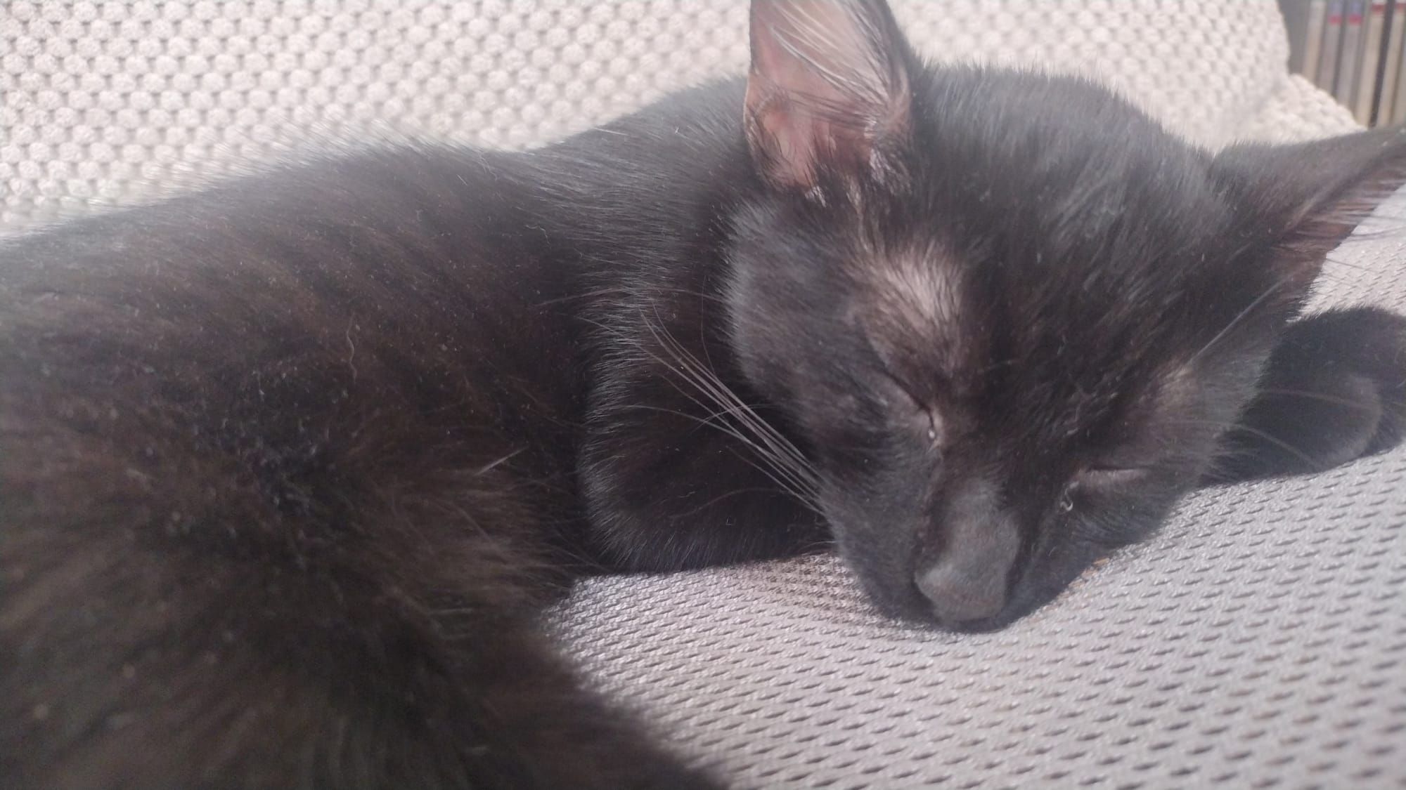 Niko - Semaforowa 28A, Wrocław