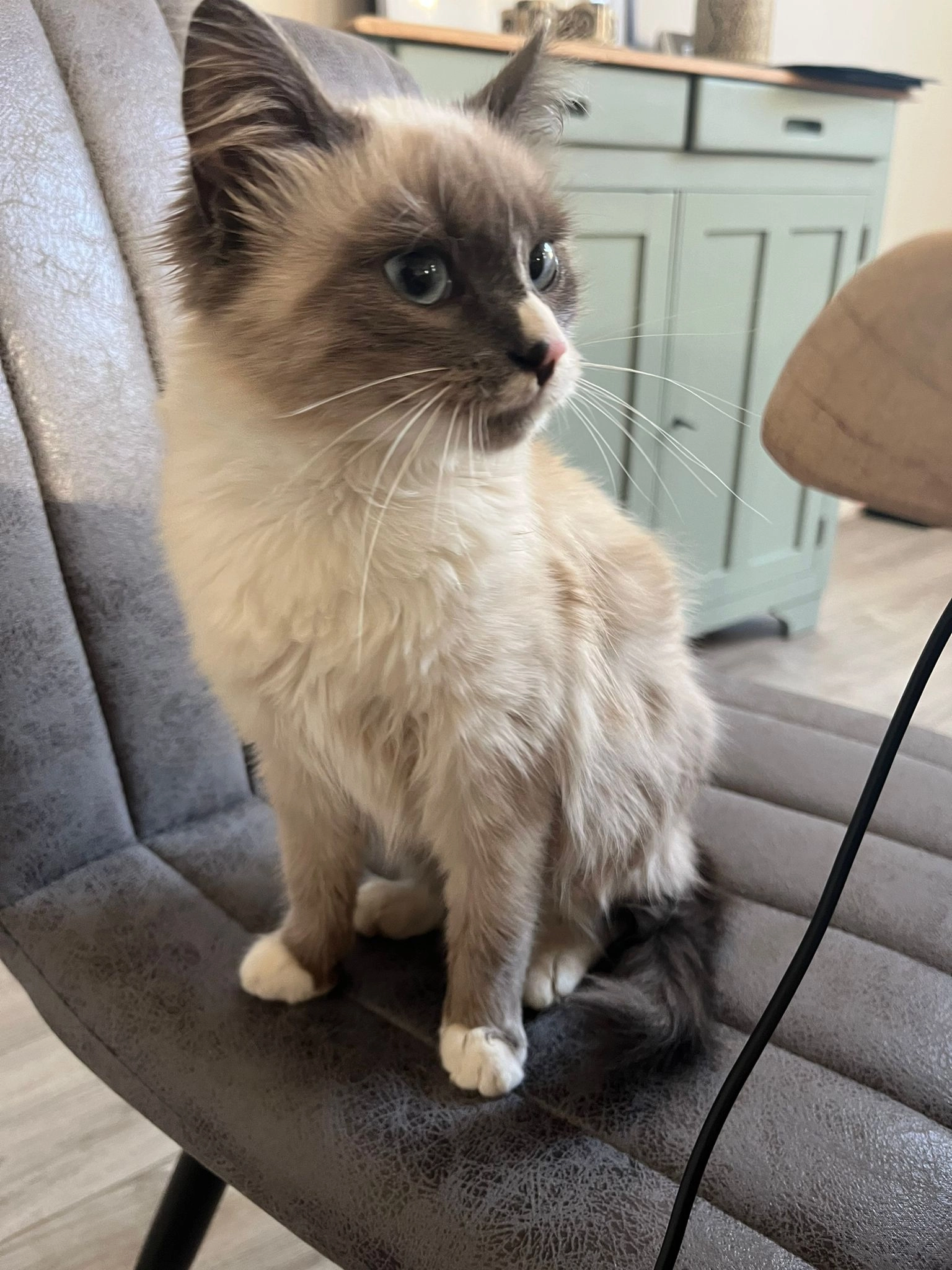 Hermione - 7 Rue du Levant, École-Valentin