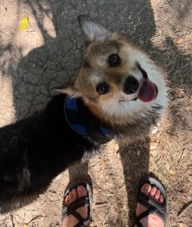 Teddy - Onion Creek Greenbelt Trail 1, Austin
