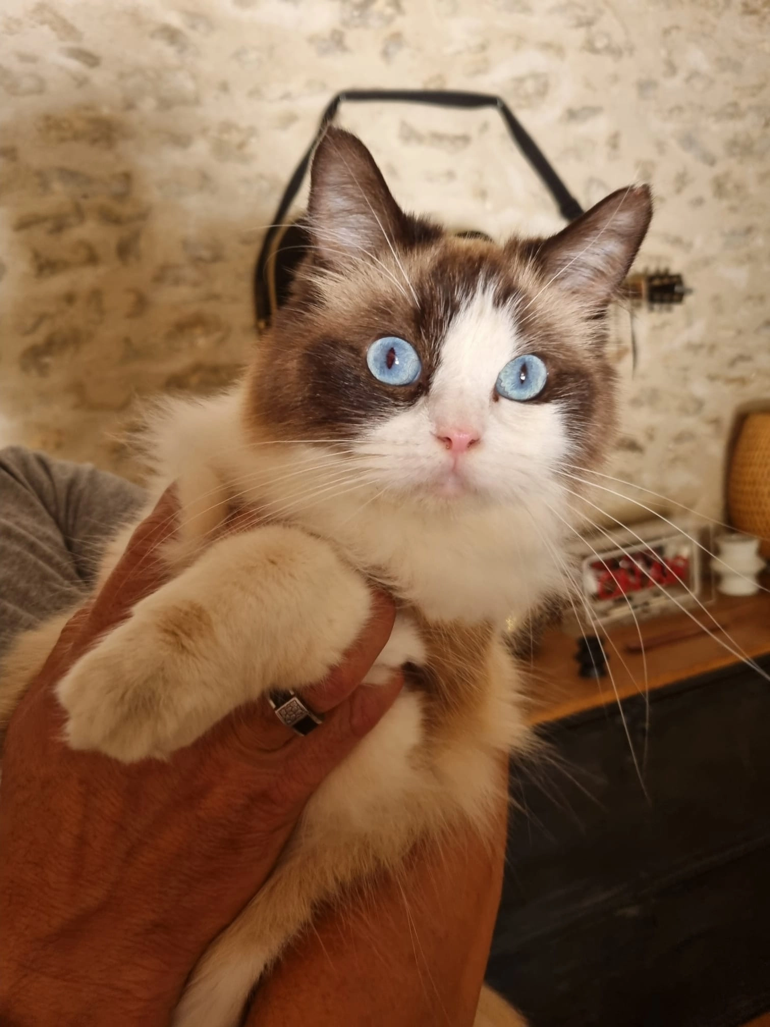 Berlin - Route Du Chêne Rogneux, Grosrouvre
