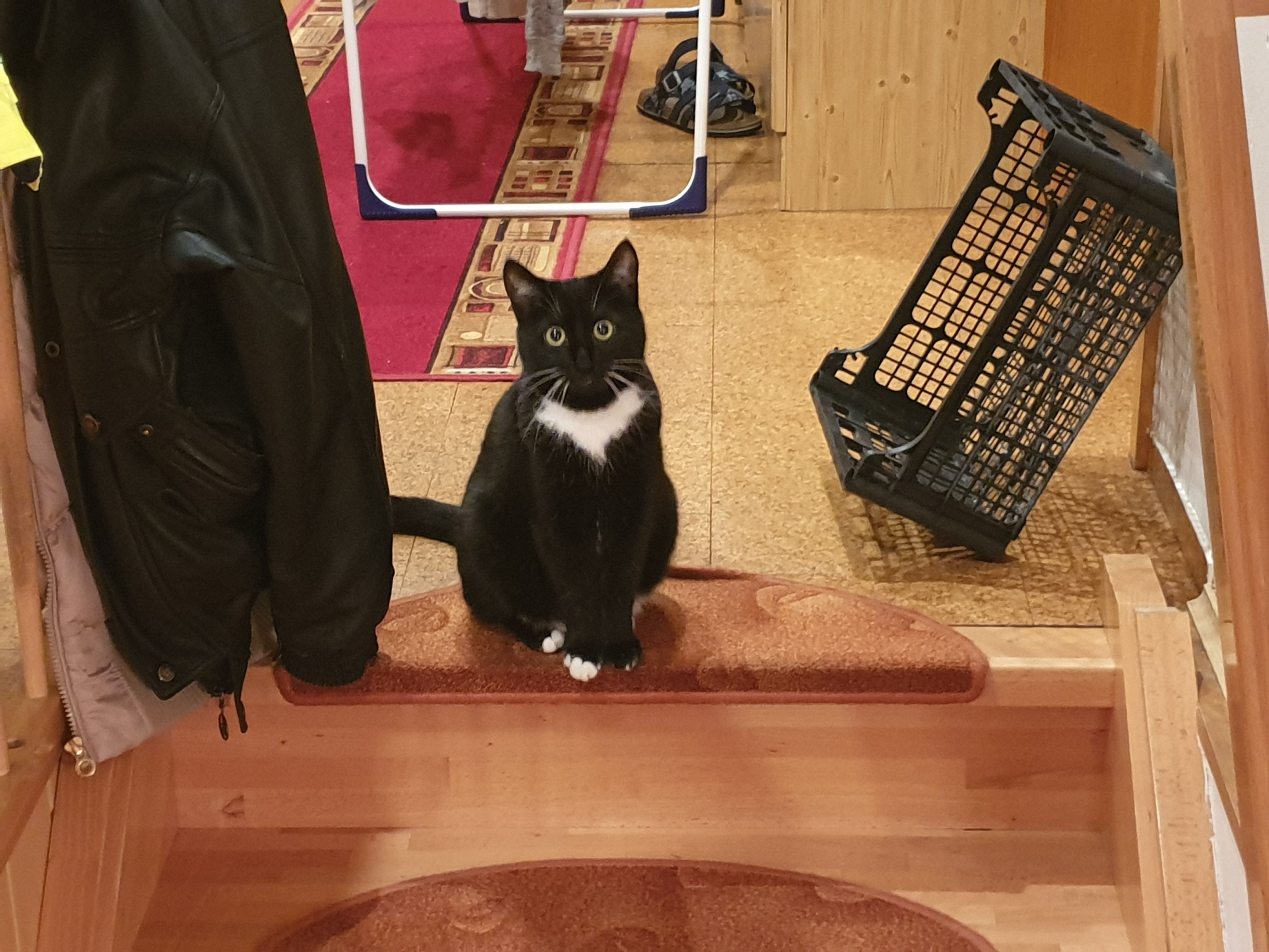 Tapsi - Doktor-Prechtl-Steig, Lauterhofen