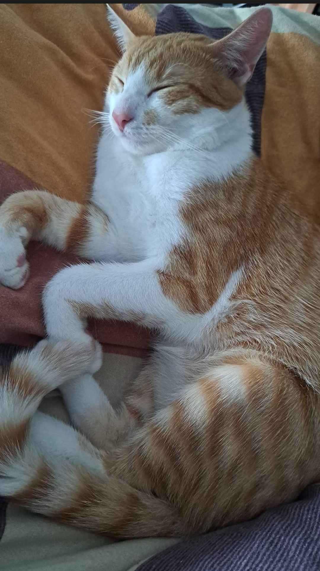 Findus - Ludwig-Thoma-Straße, Bayreuth