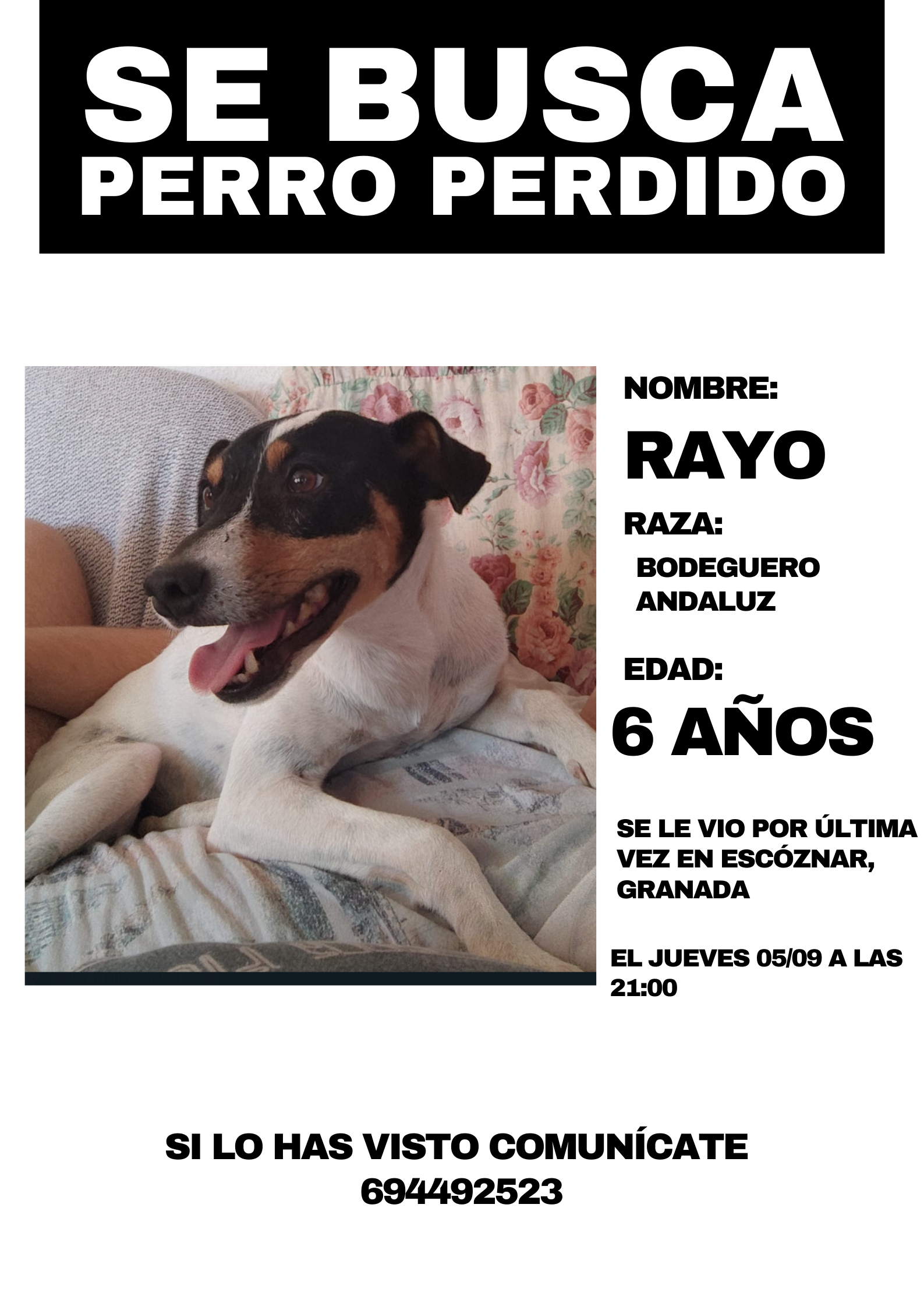 Rayo - Calle Ancha de Escoznar, Íllora