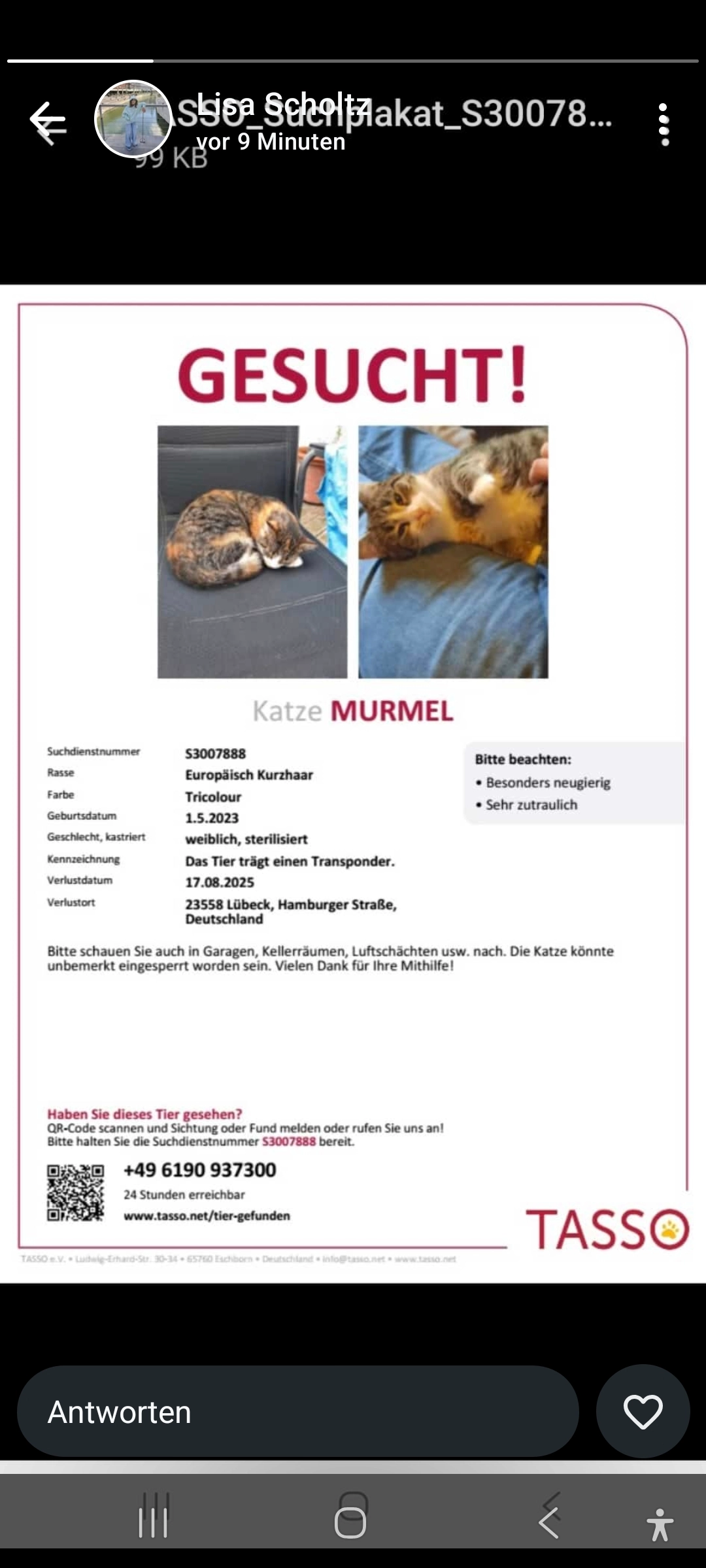 Murmel - Hamburger Straße, Lübeck