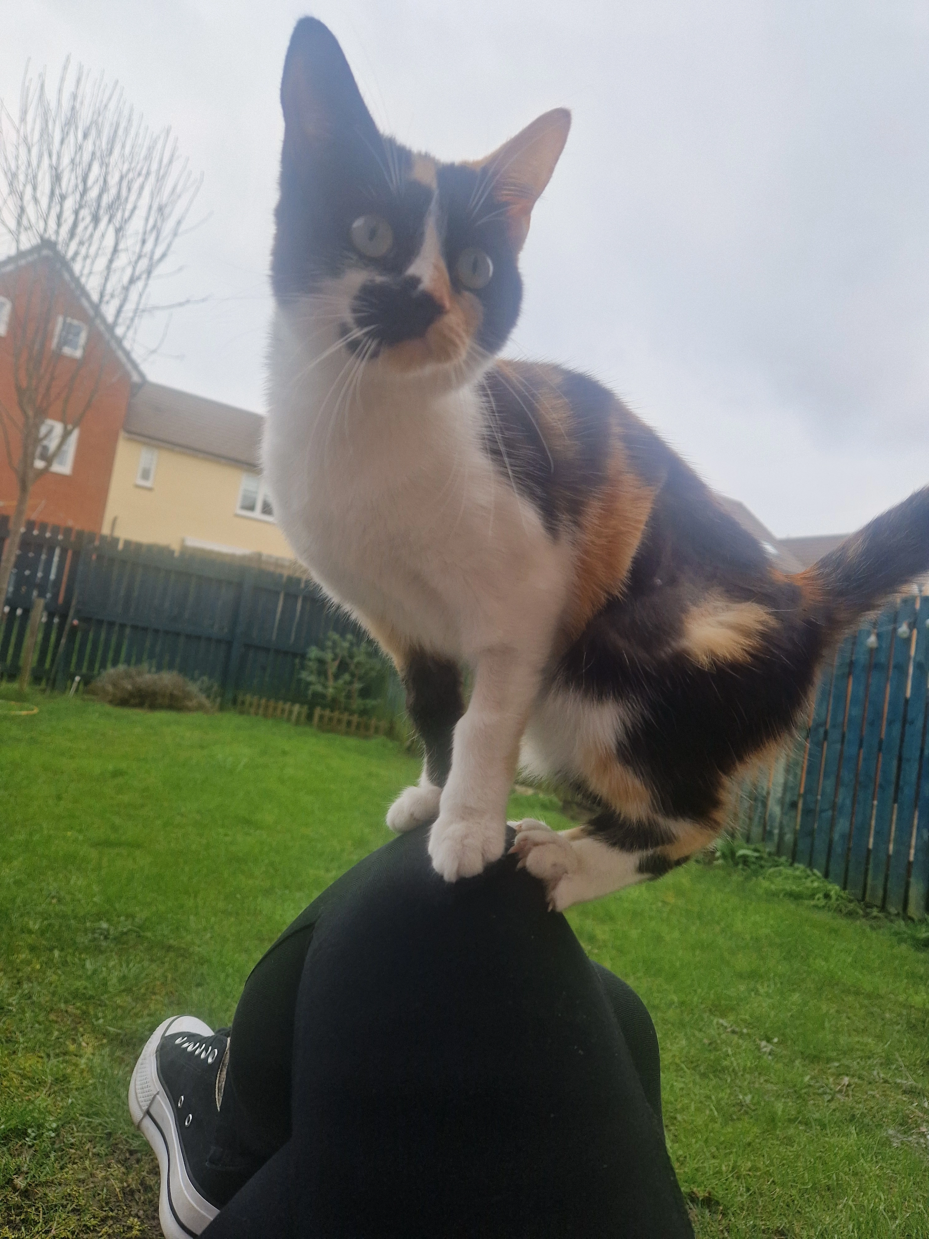 Maggie - Walton Park Street, Castleford