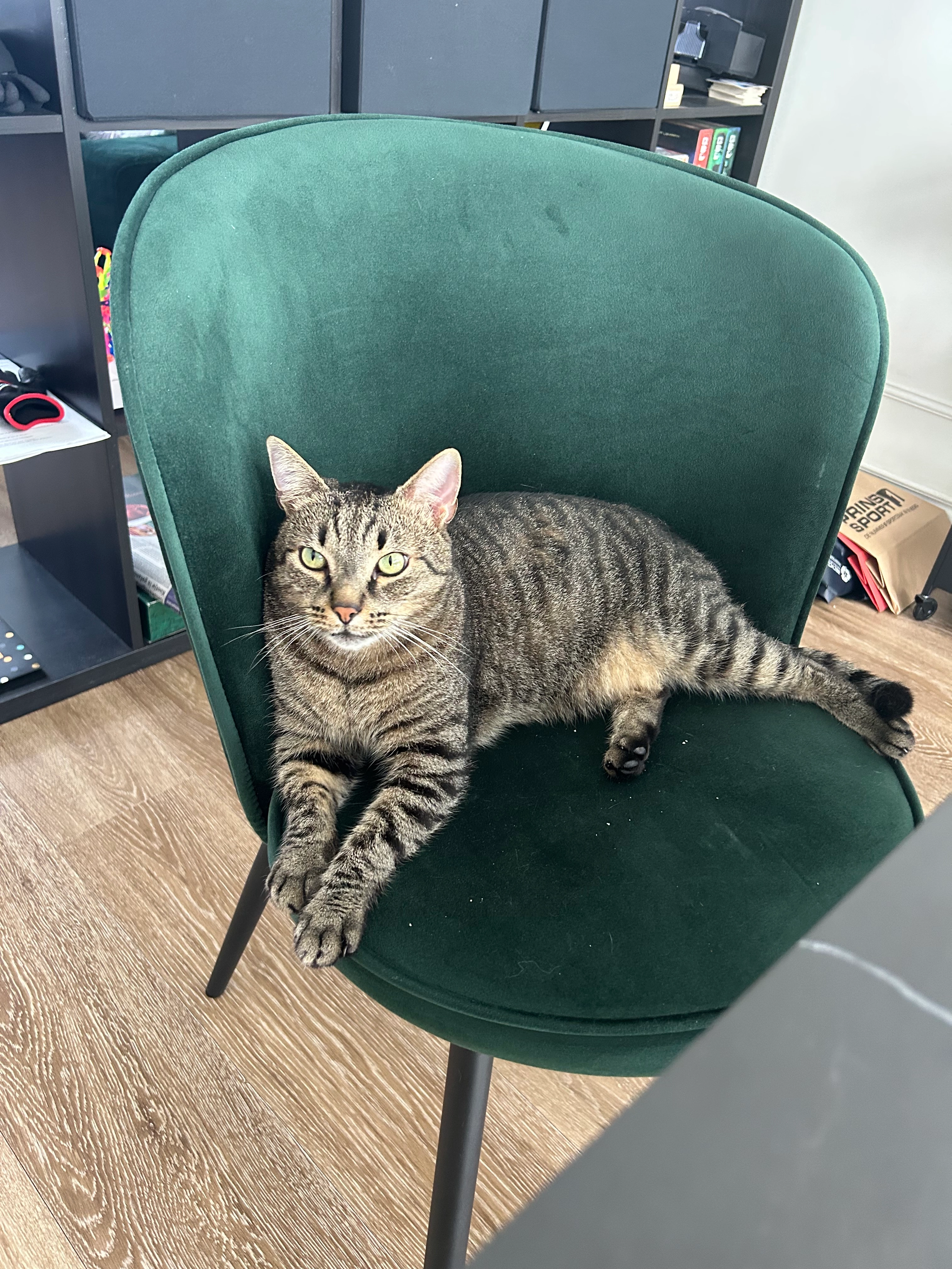 Boy - Klaproosstraat, Ommen