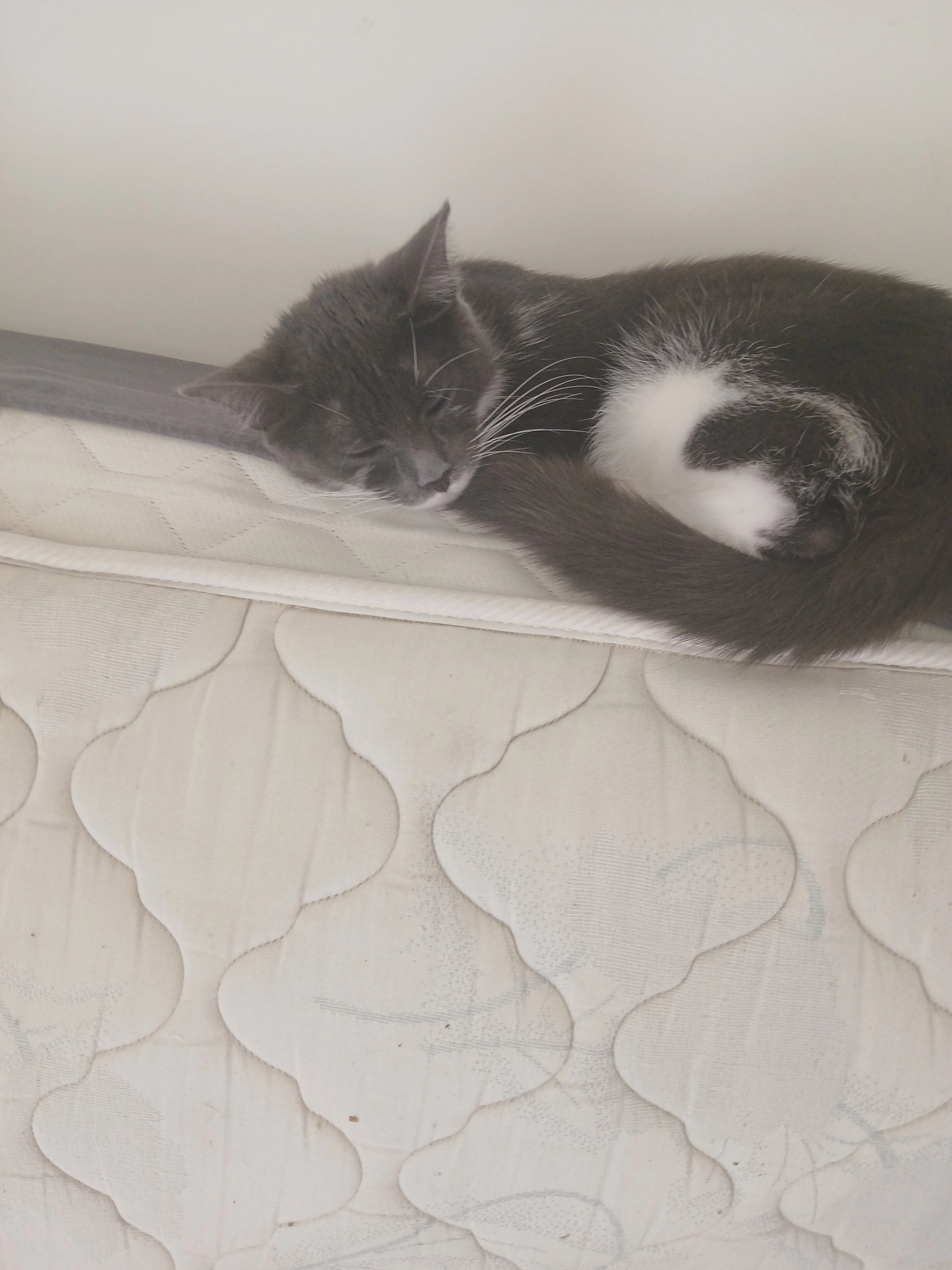 Bebe - Rue André Renard 350, Seraing