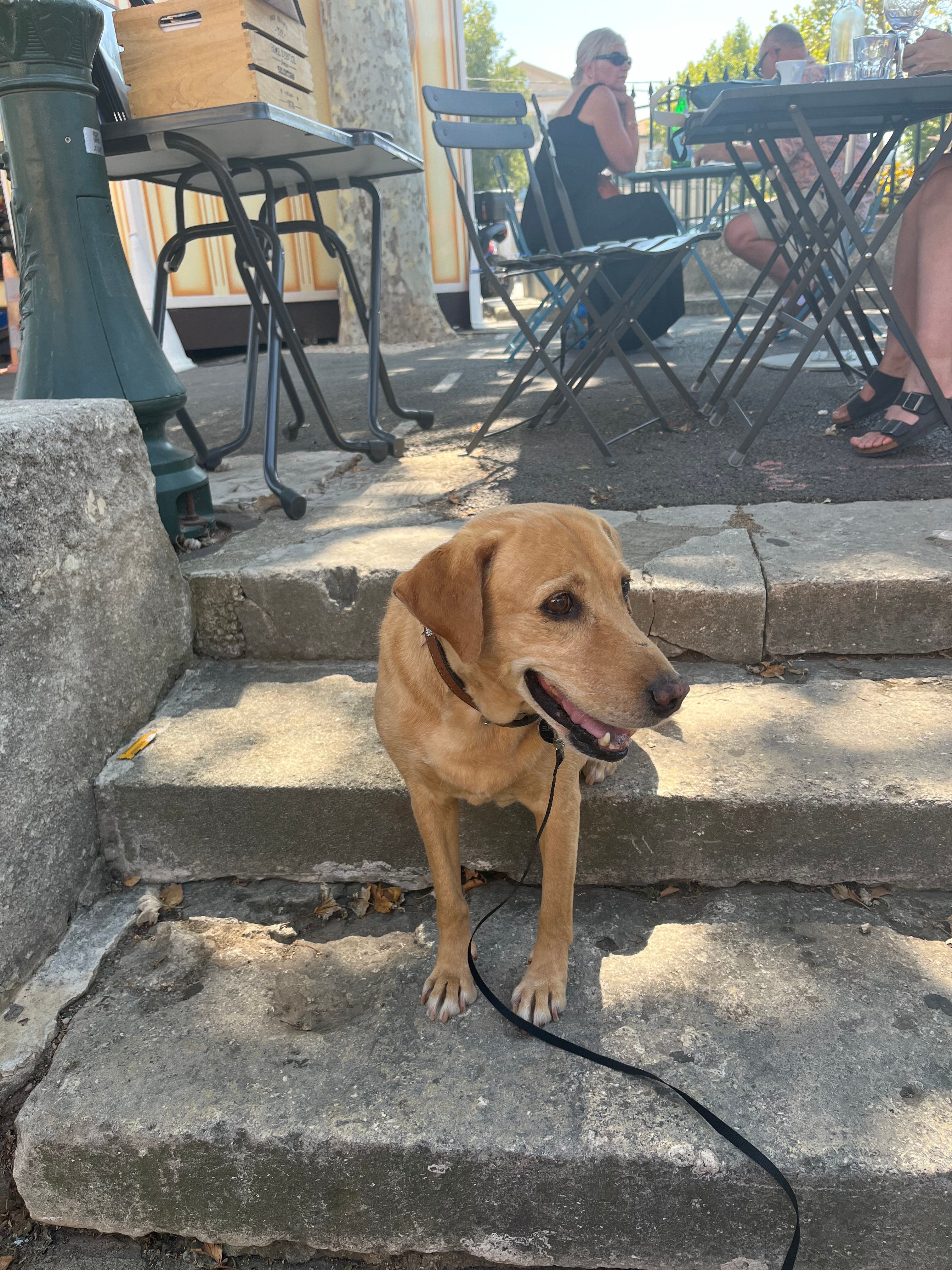 Skyla - D191, Le Perray-en-Yvelines