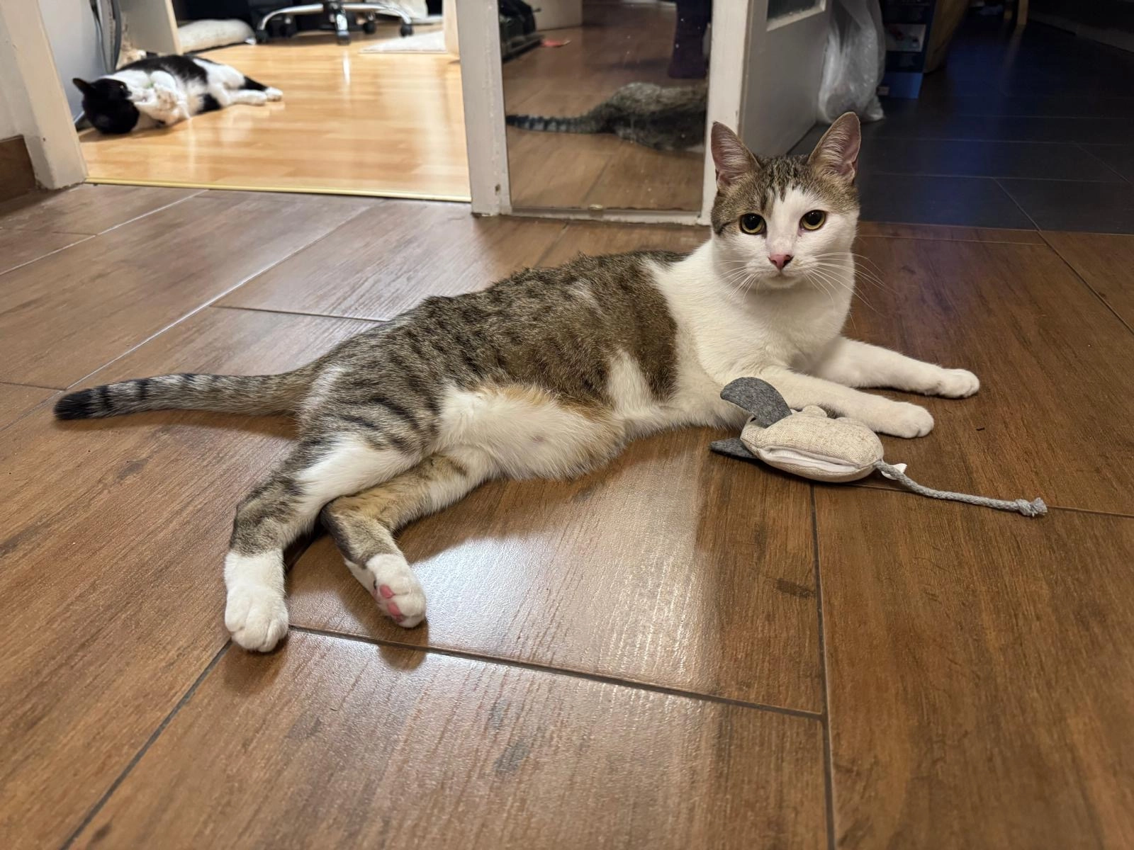 Funny - Sonnenweg 133, Wien