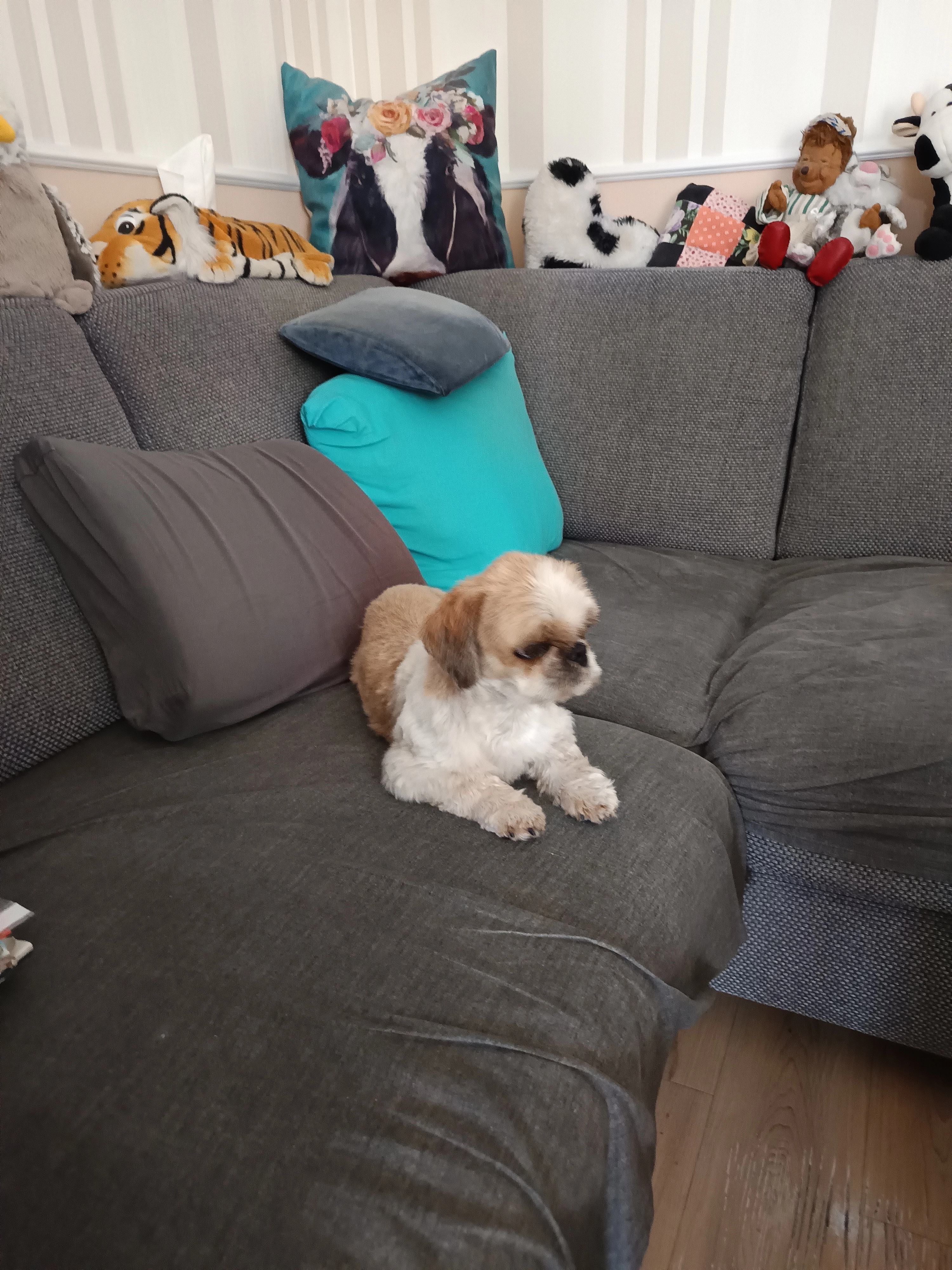 Keine Ahnung  - Zum Havelhorn 30 / 31, Werder