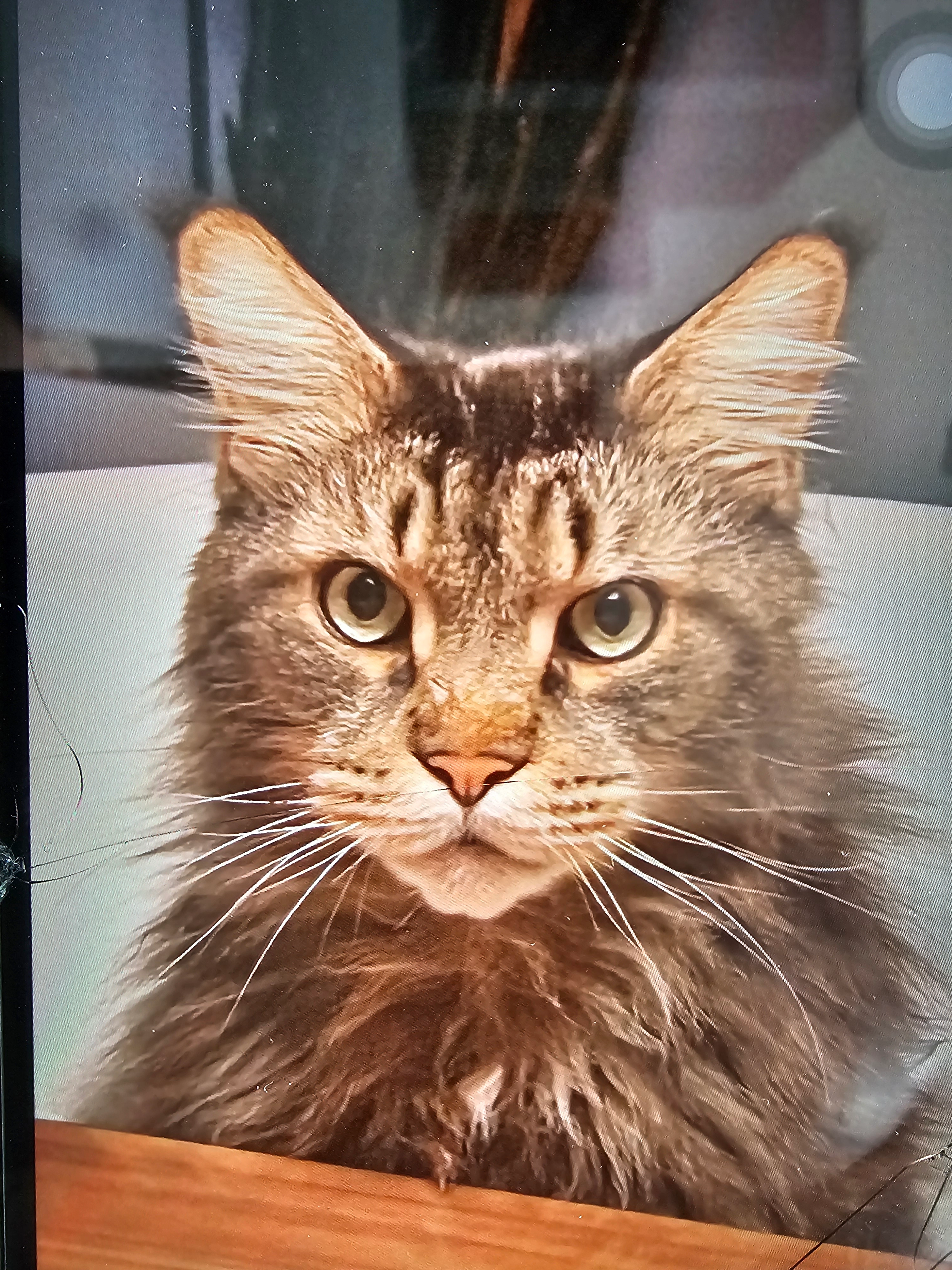 Eddy - Hohenlohestraße, Wilhermsdorf