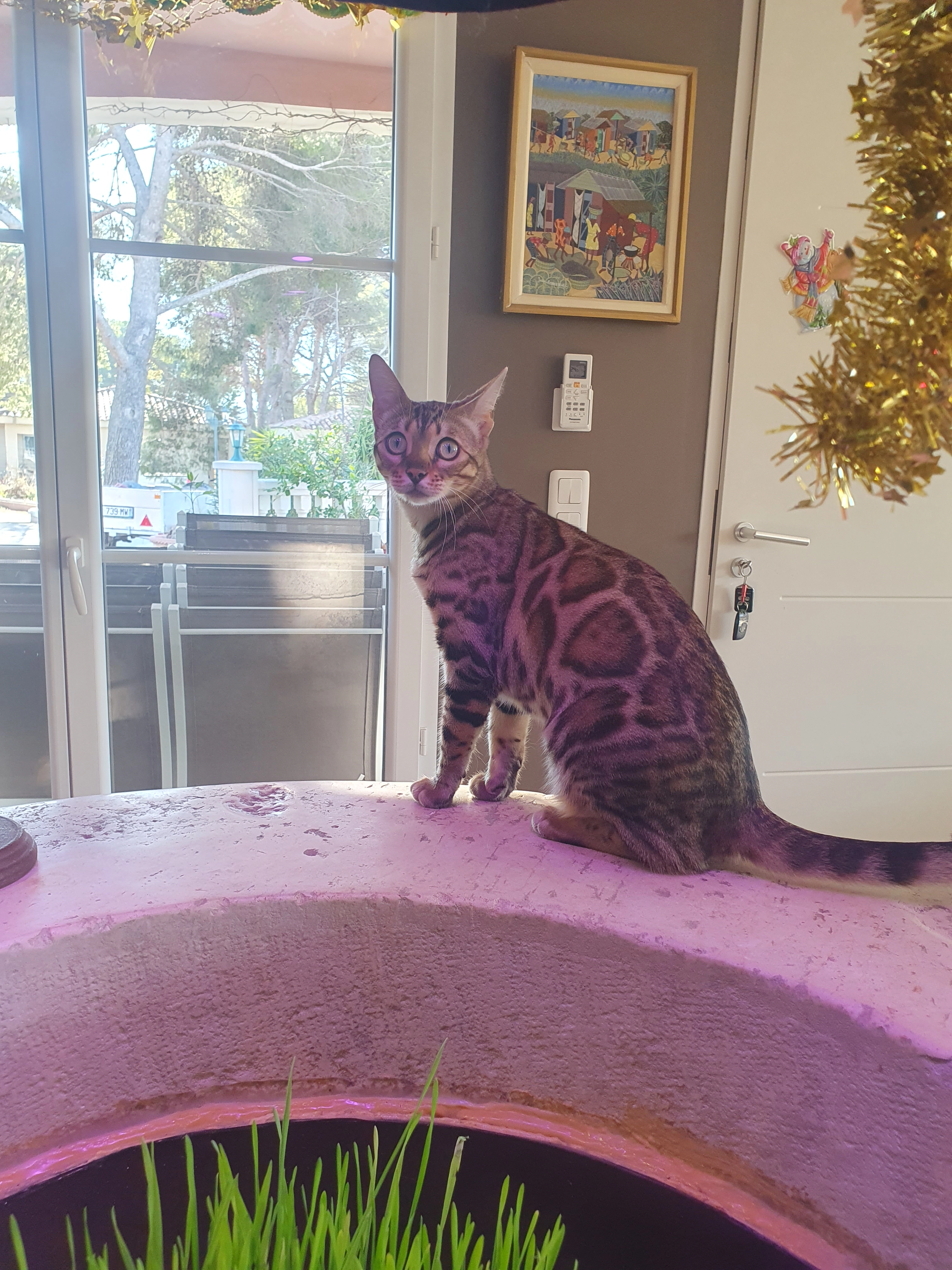 Ulla - Route Des Ventrons, Martigues