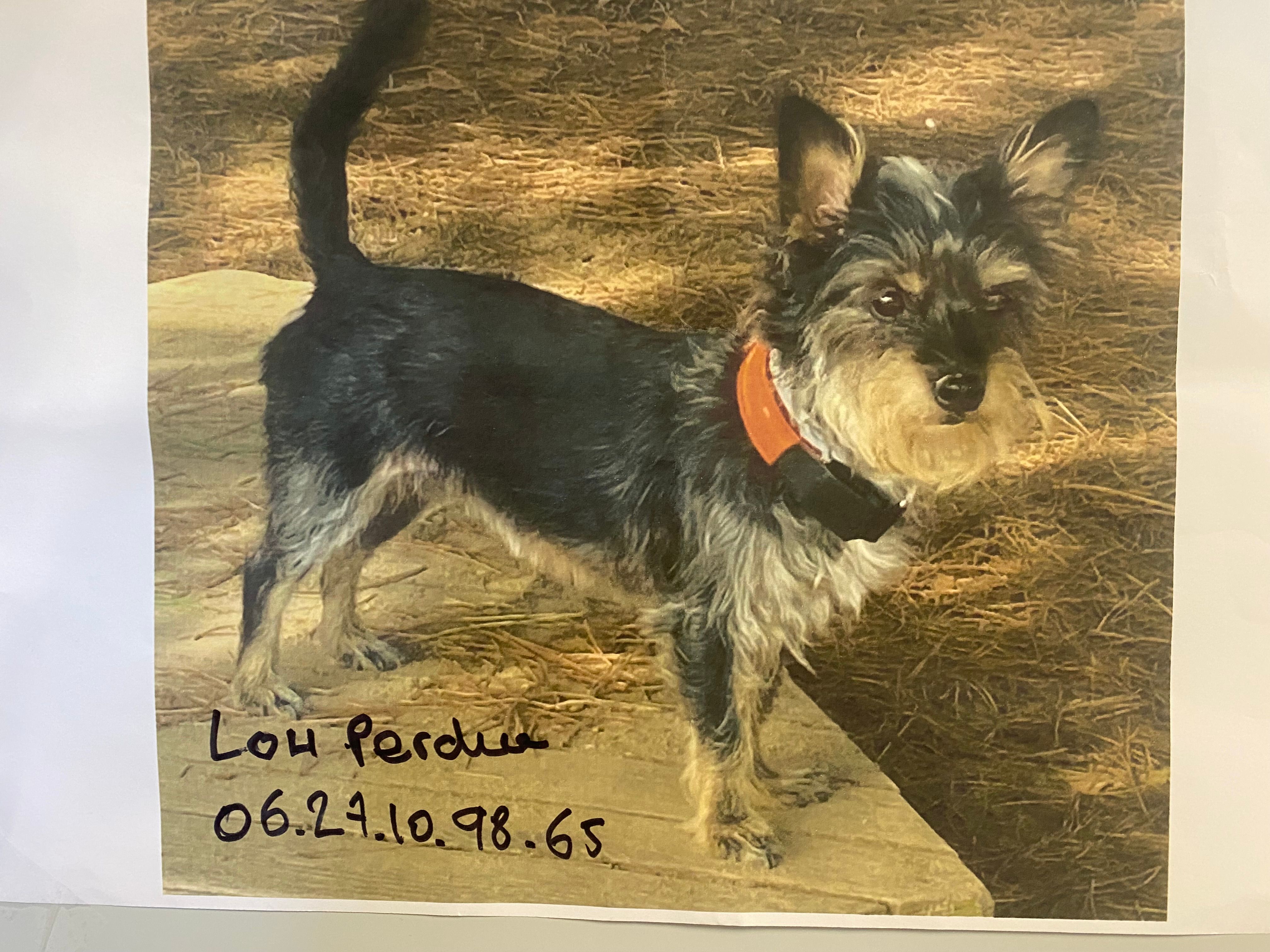 Lou - Rue Du Marais, Saint-Mars-de-Coutais