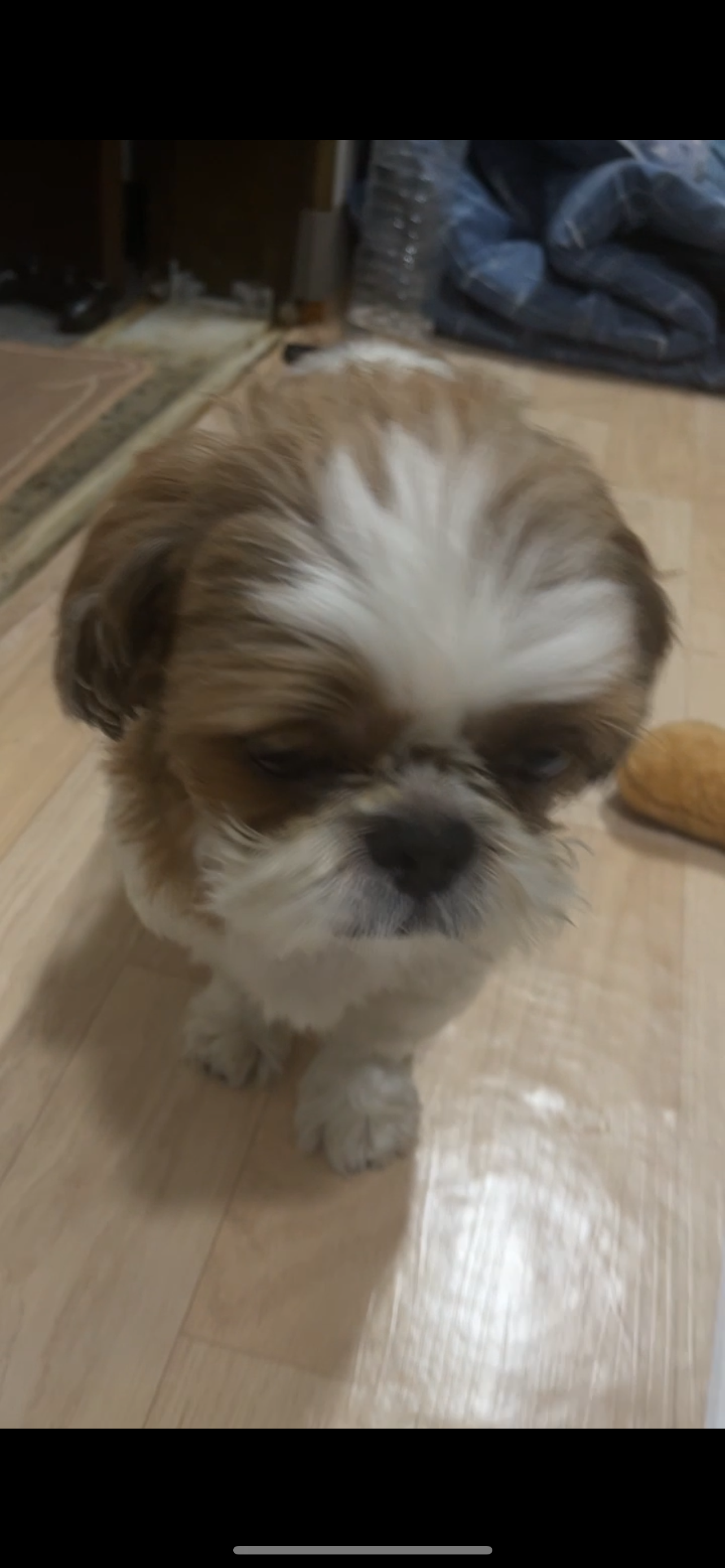 His name is meen - 서울시립대로3길, Seoul