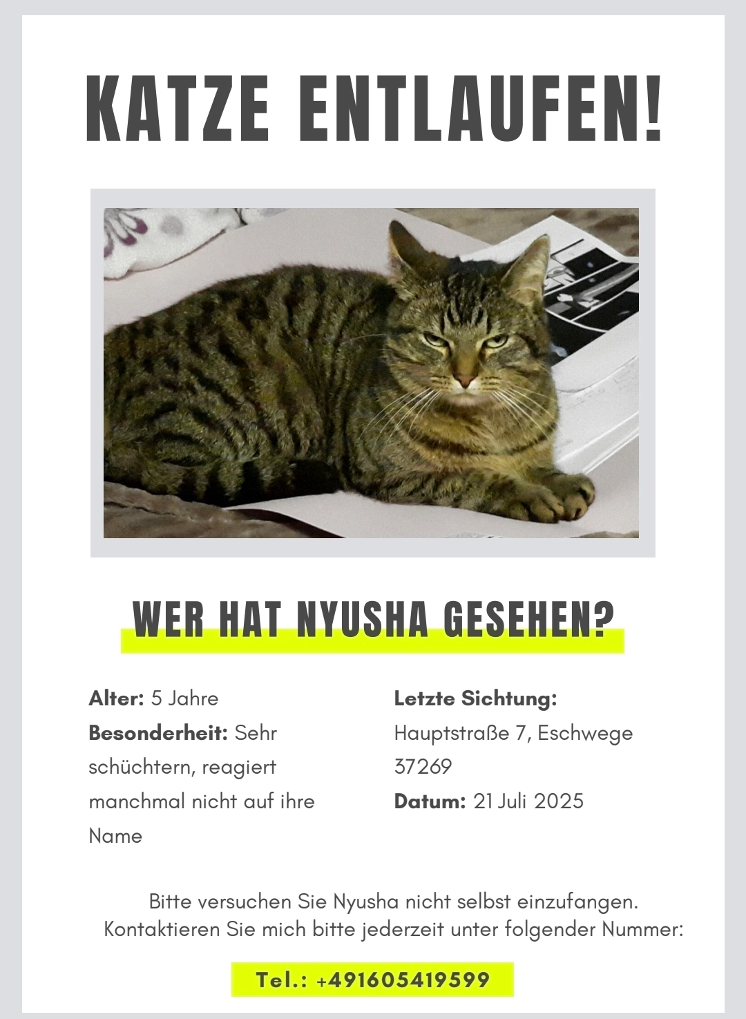 Nyusha - Hauptstraße, Eschwege