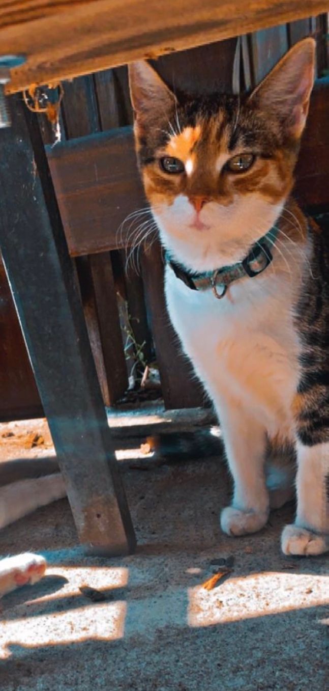 Danny - Berkholzer Straße, Berkholz-Meyenburg