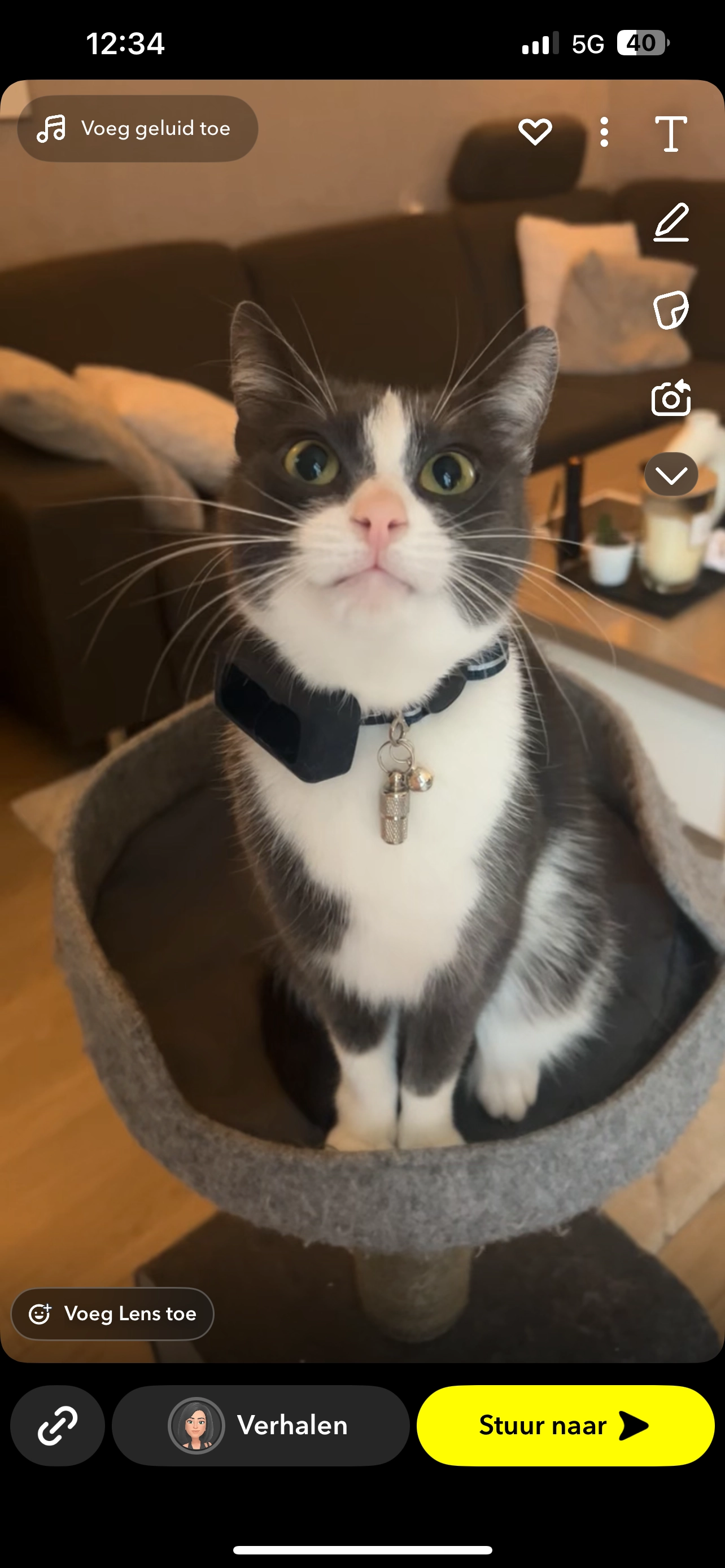 Messi - De Vluchtestraat, Enschede