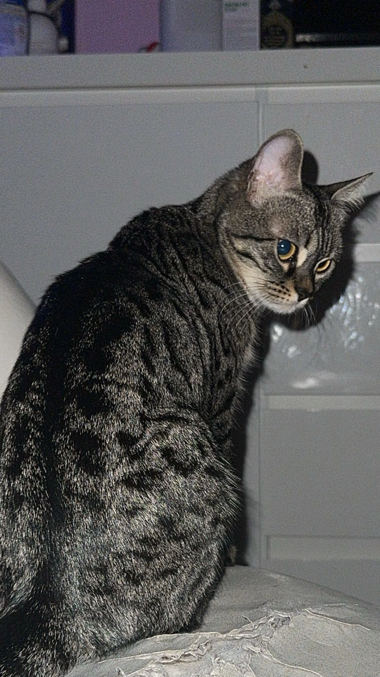 Bengi - Siebenbrunnenfeldgasse, Wien