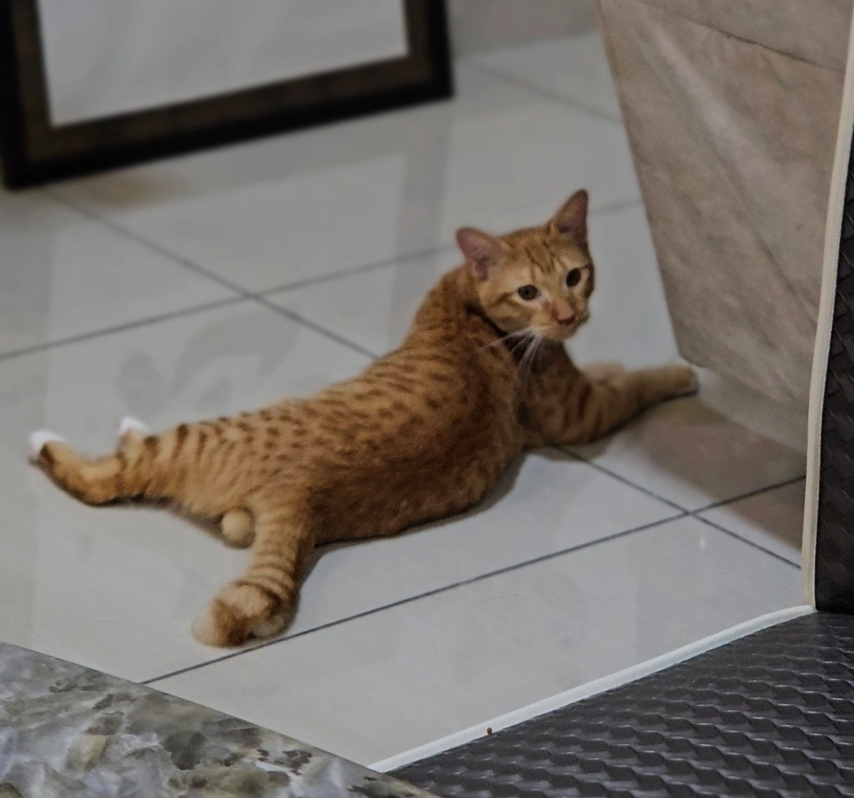 Simba - Jalan Puteri 1/1, Tampoi