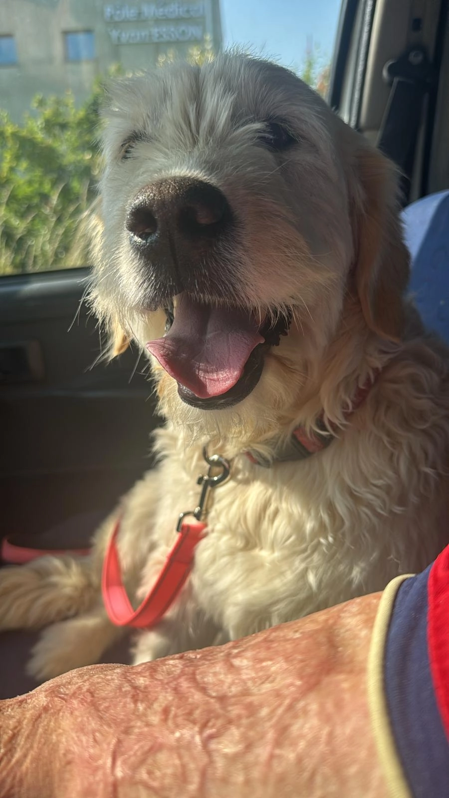 Saori - Rue Du Stade, Saint-Clair-du-Rhône