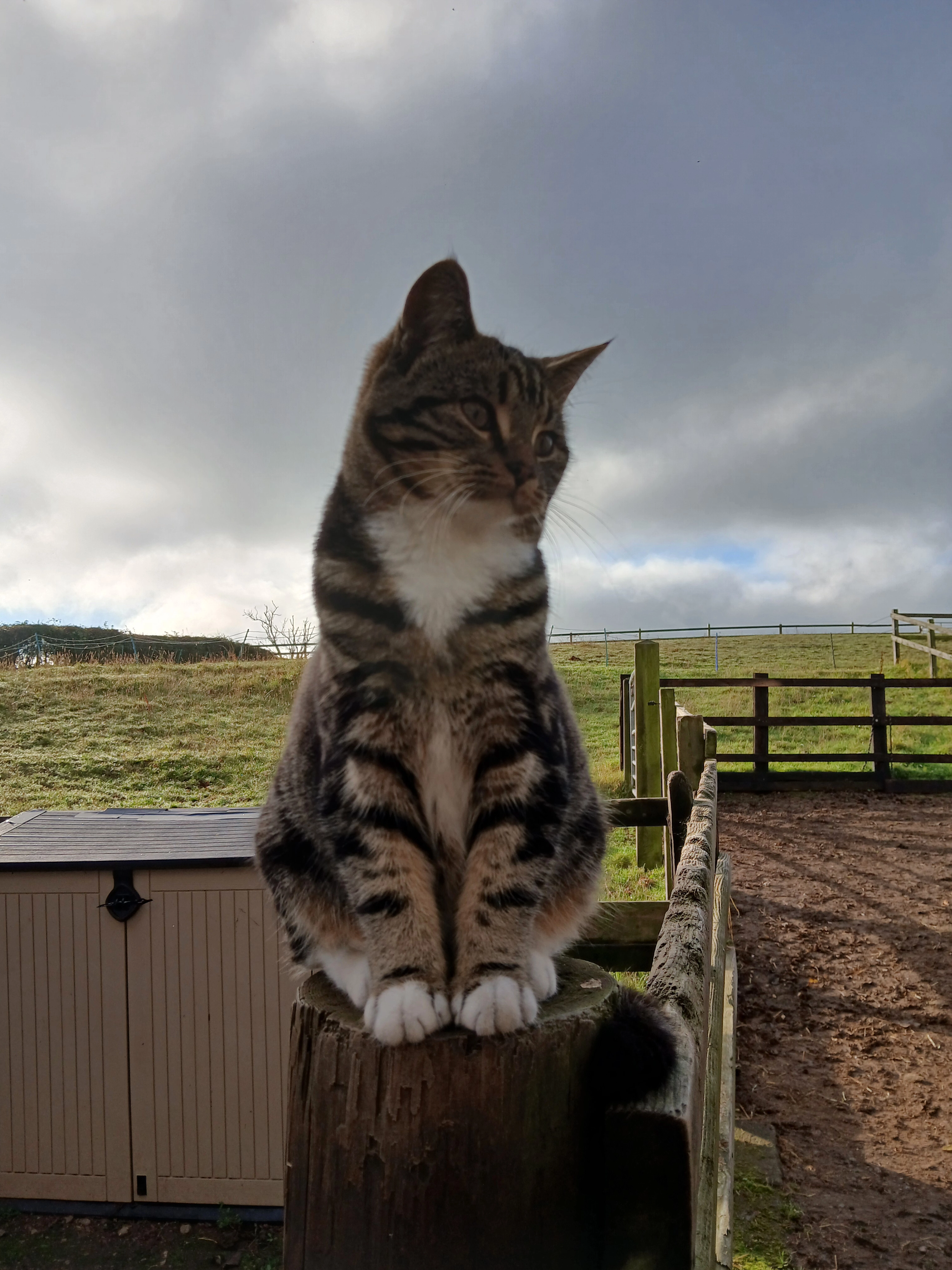 Bailey - Tan y Graig Road, Colwyn Bay