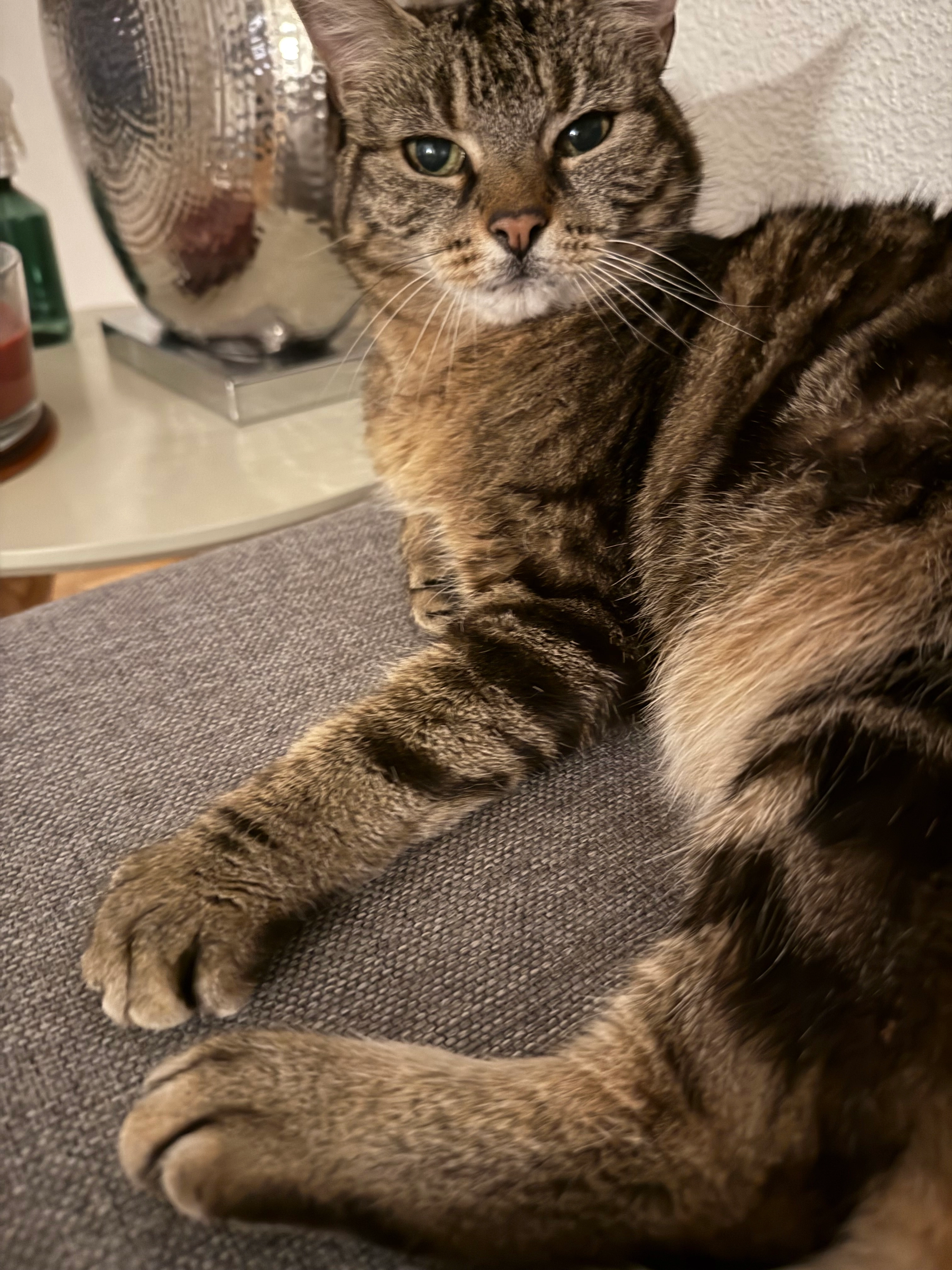 Mia - Seedorfweg, Münchenbuchsee