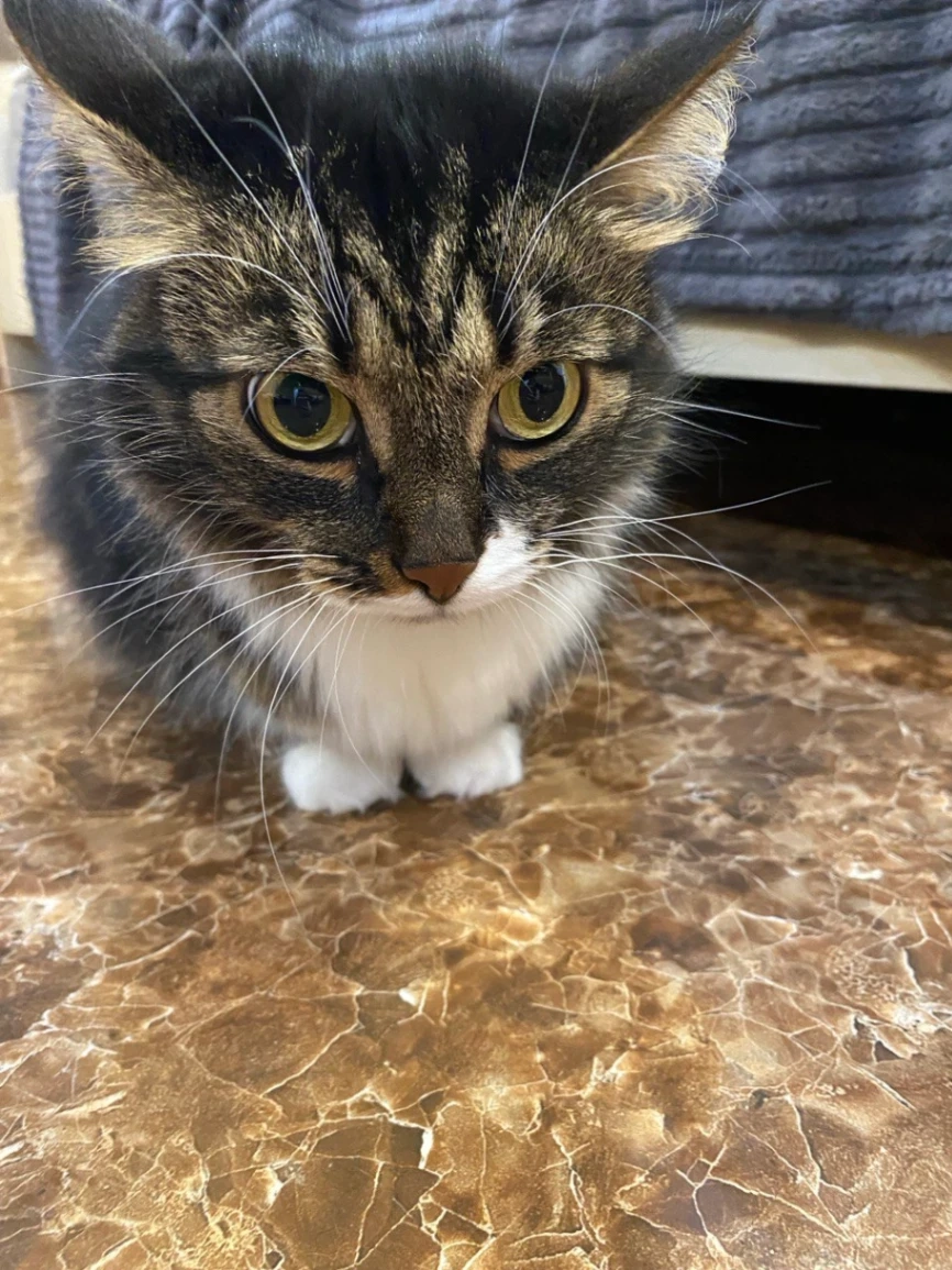 Cocos - WA5 1, Warrington