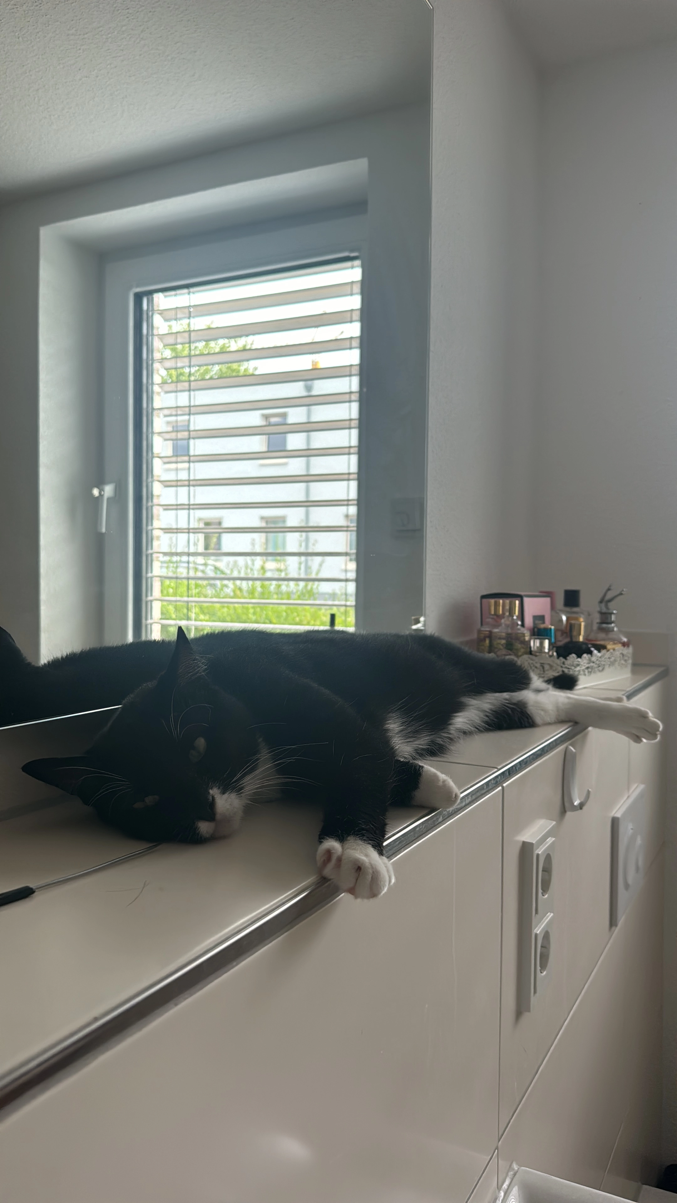 Juki - Haus Walle, Melle