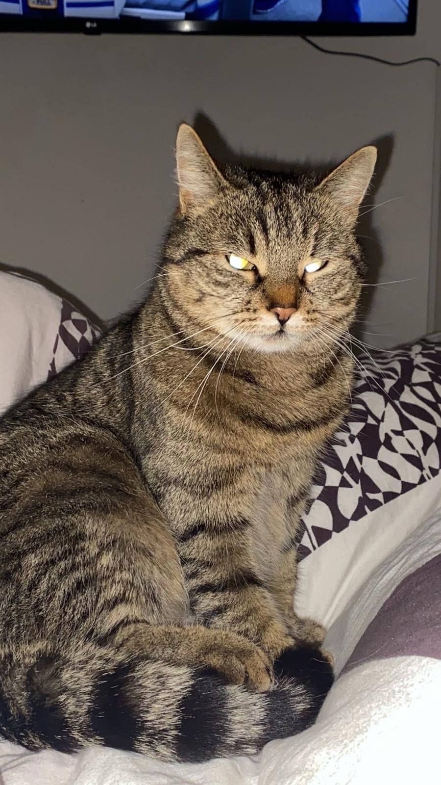 Mia - Gemeindeberg 32, Reichenthal