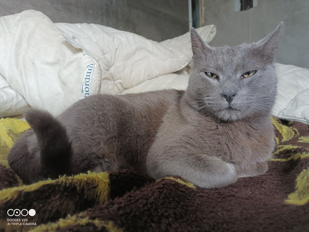 Gurruñau - Antiga Carretera De Vallcalent, Lleida