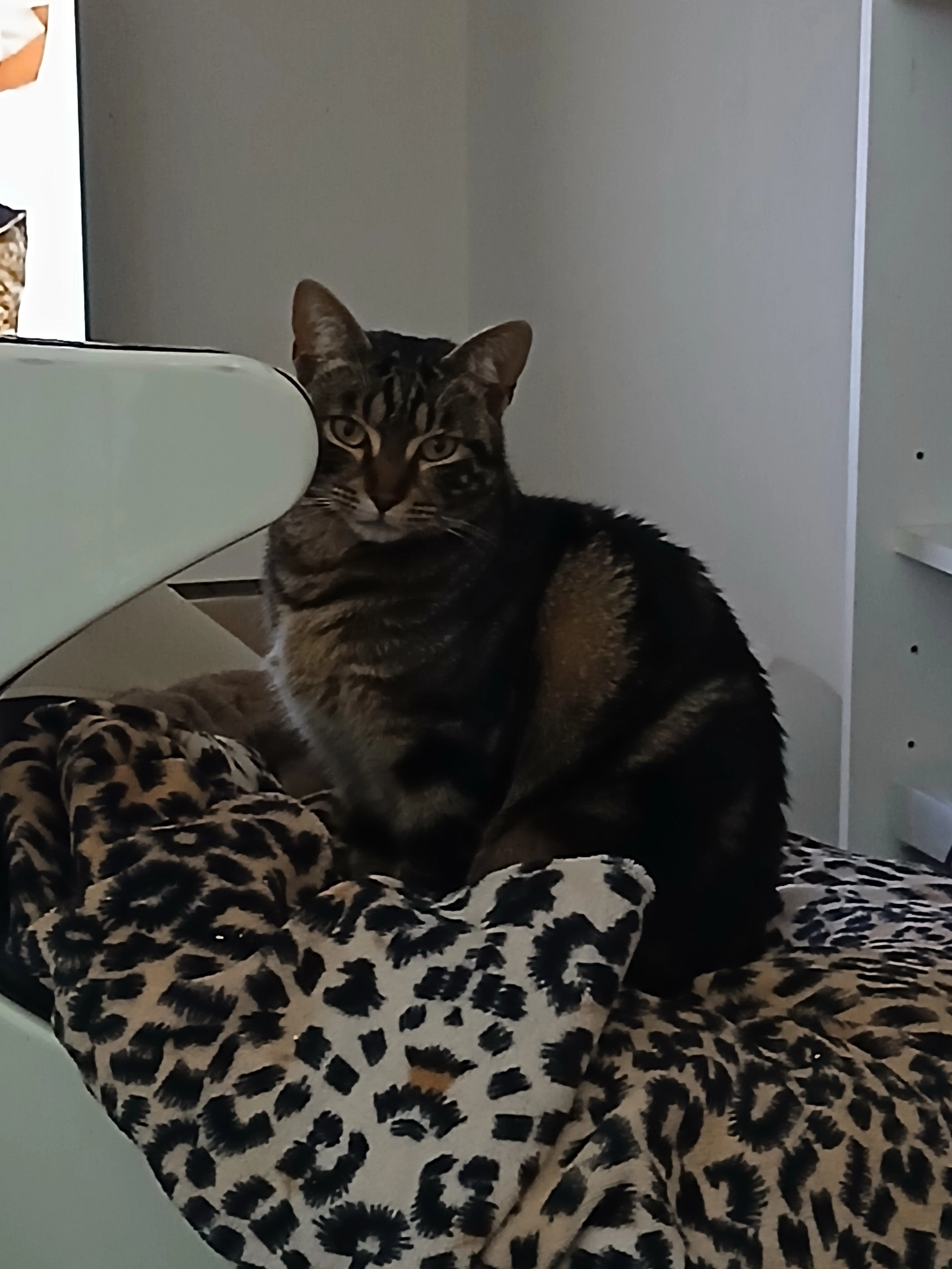 Tim - 47 Boulevard Pasteur, Pontarlier