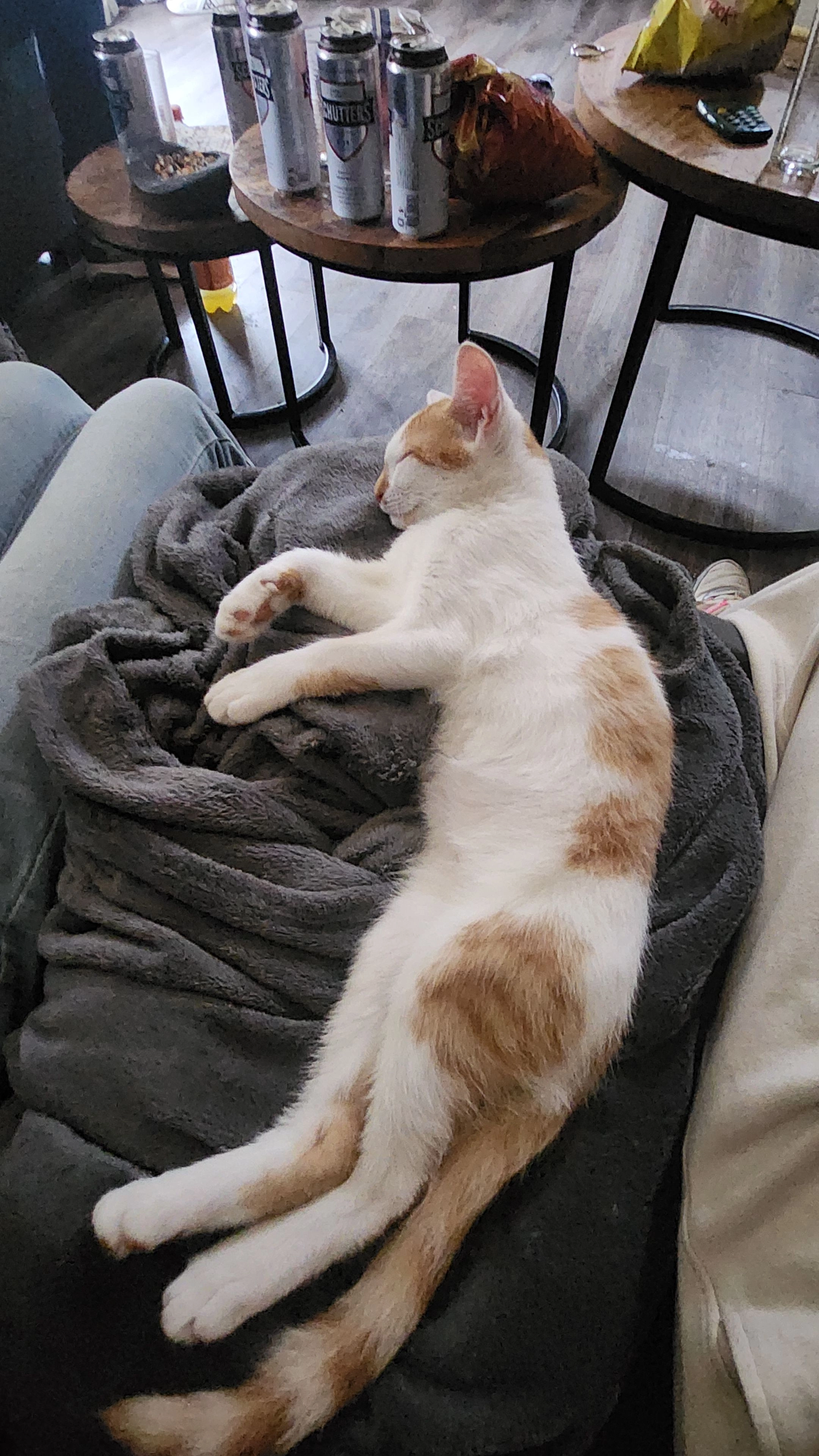 Loewie - Het Koggeschip, Den Helder