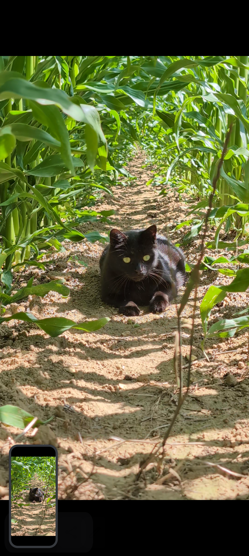 Rouky - Chemin des Hameaux du Lay, Les Contamines-Montjoie