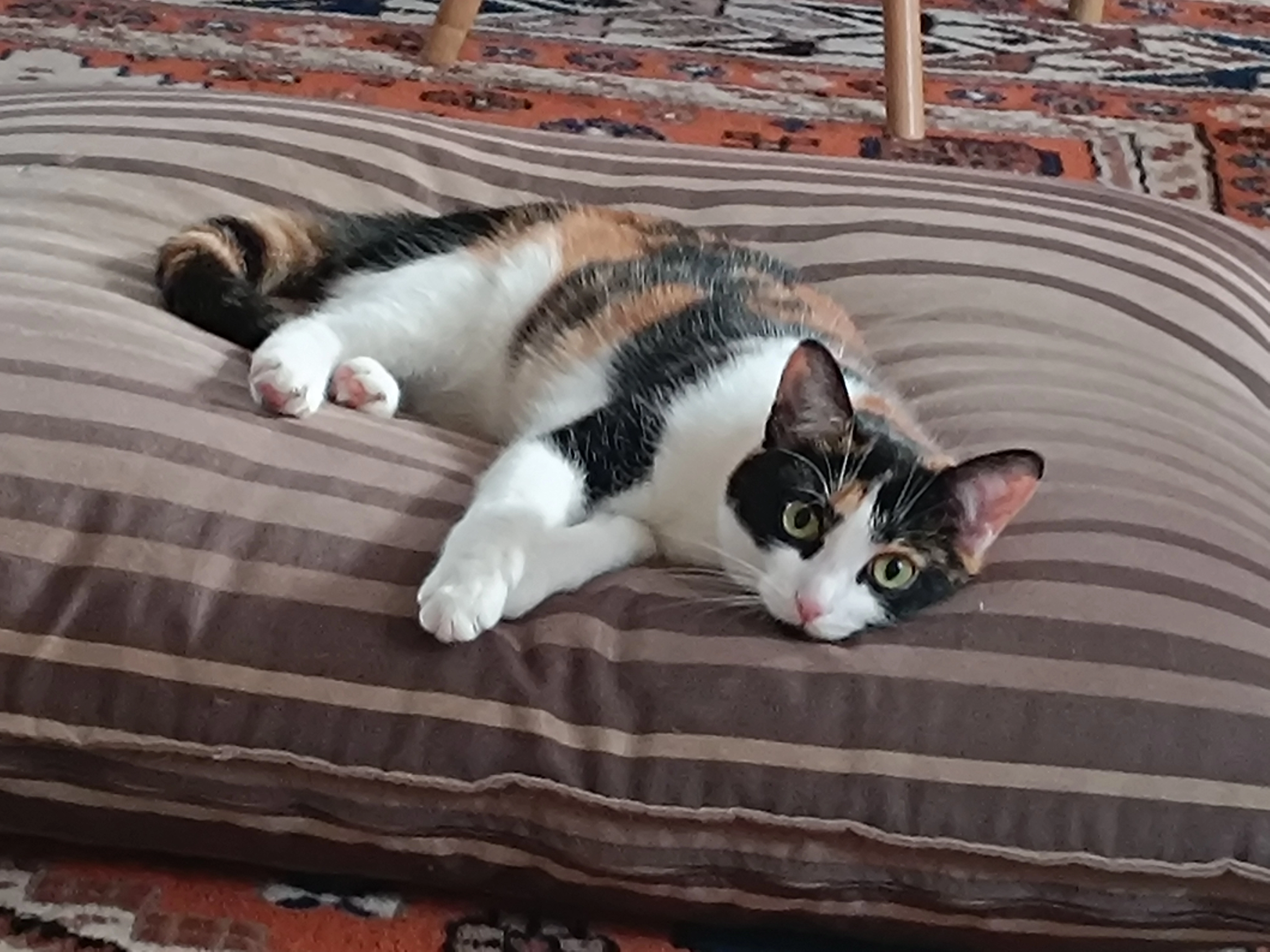 Cali - Place de la Cure, Wavre