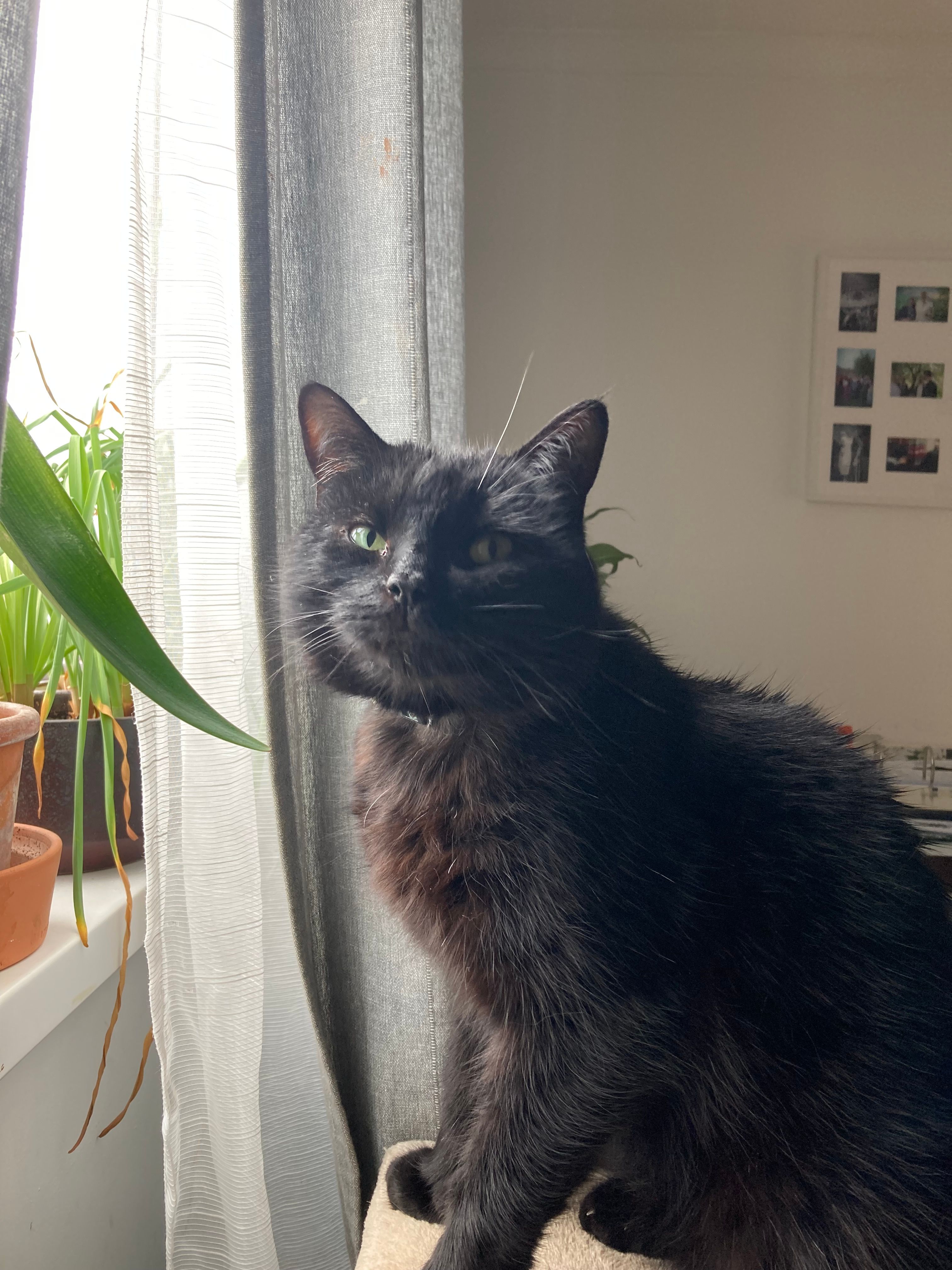 Terry - Newland Road, Bristol