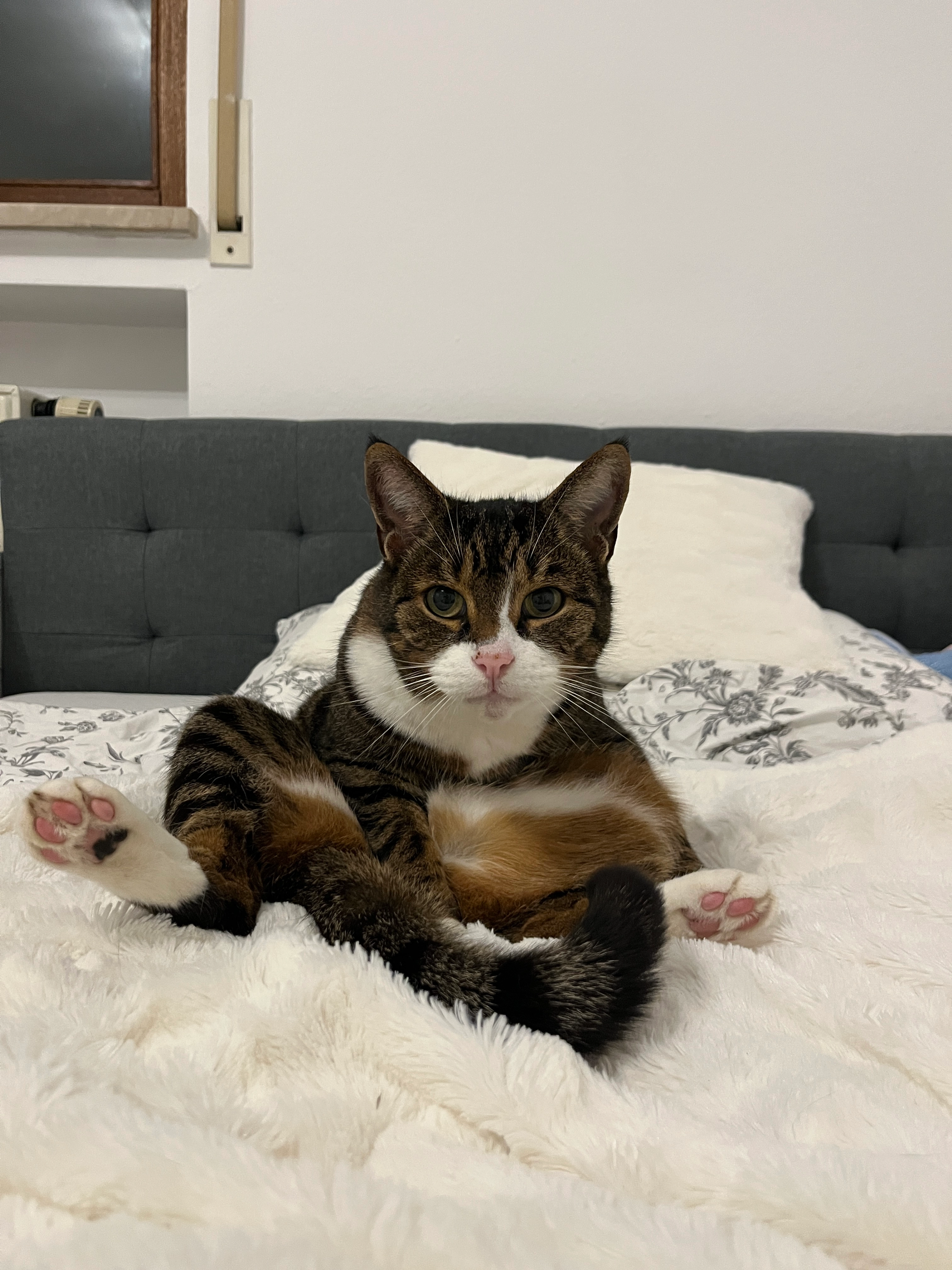 Lucy - Kneippstraße, Benningen