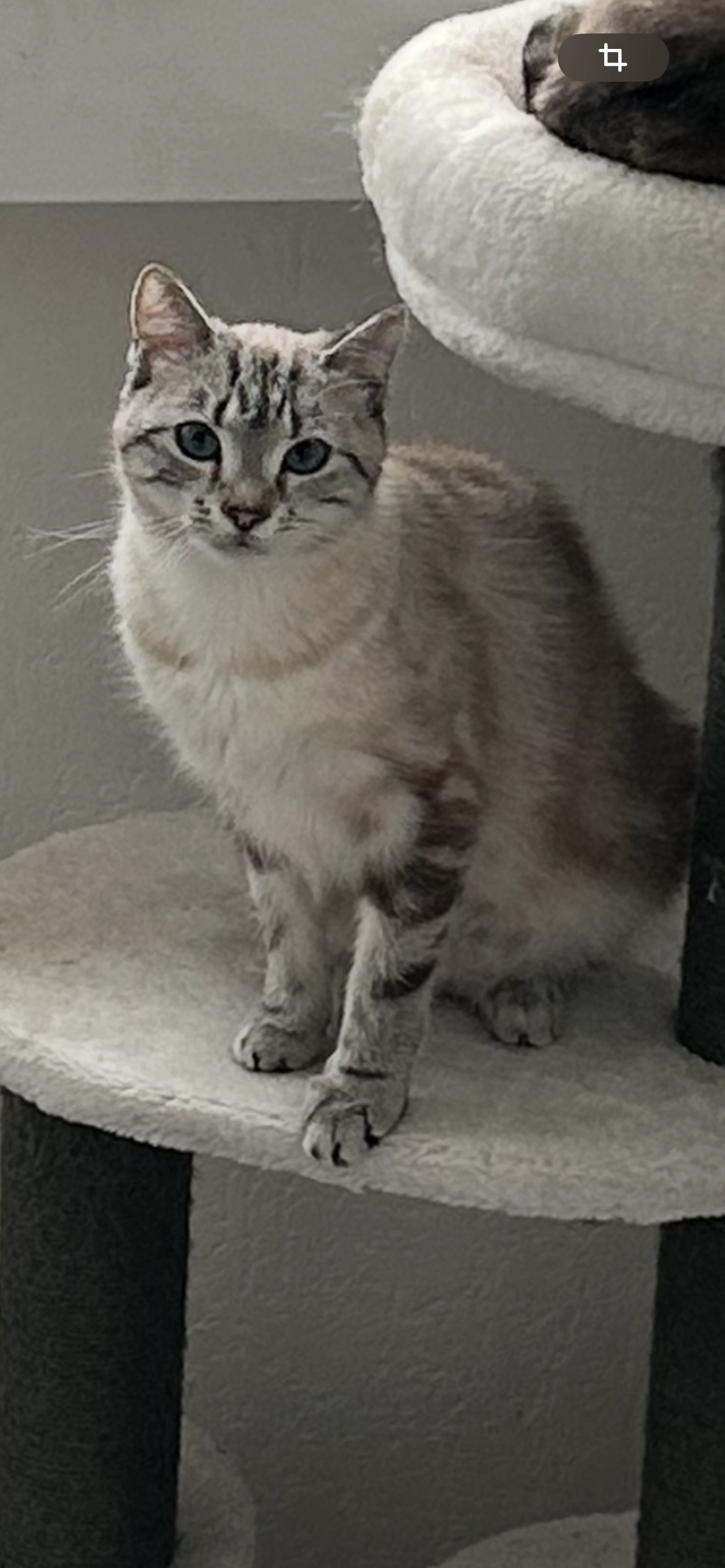 Luna - Am Westfeld, Heusweiler