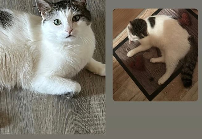 Ivan - Untergreuth, Frensdorf