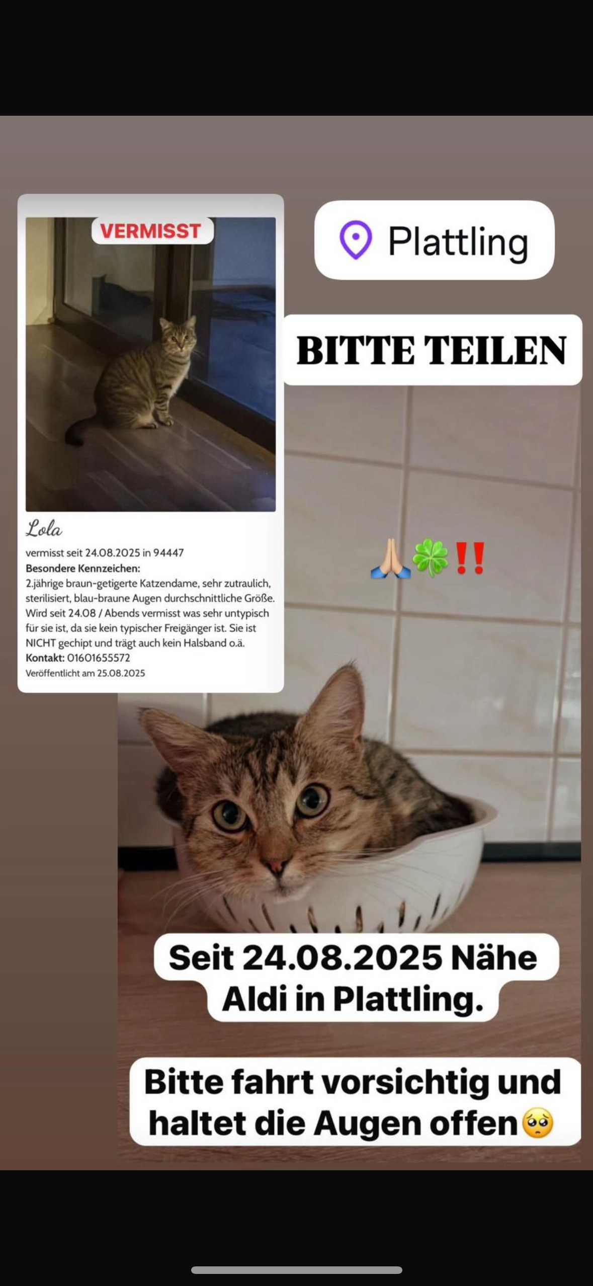 Lola  - Auenweg, Plattling