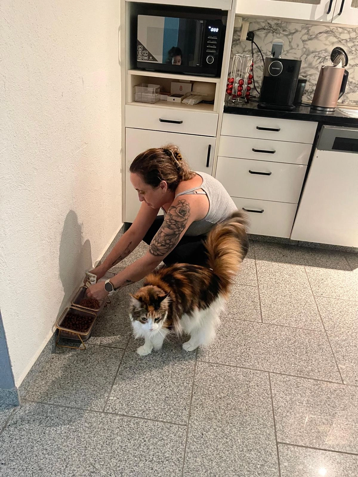 Nala - Industriestrasse, Neuheim ZG