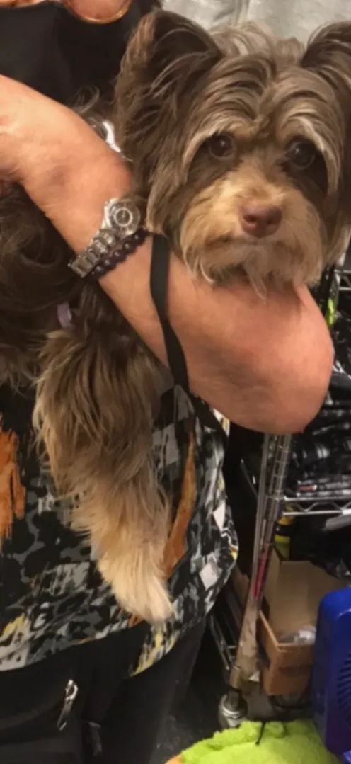 Chanel(Chanela) - 545s Los Angeles st, Los Angeles