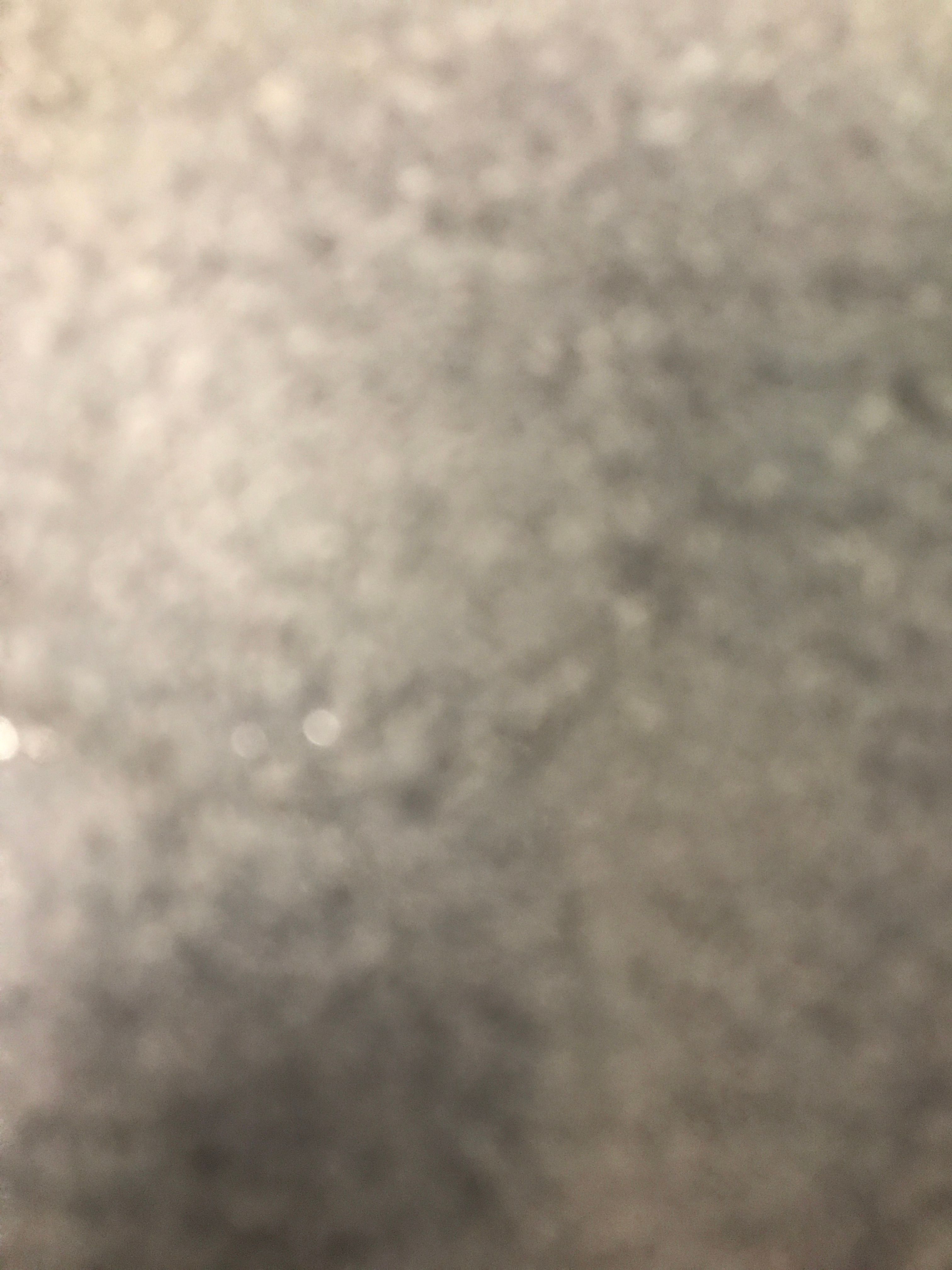 There’s two winston an tink - Shea Gardens, Newport