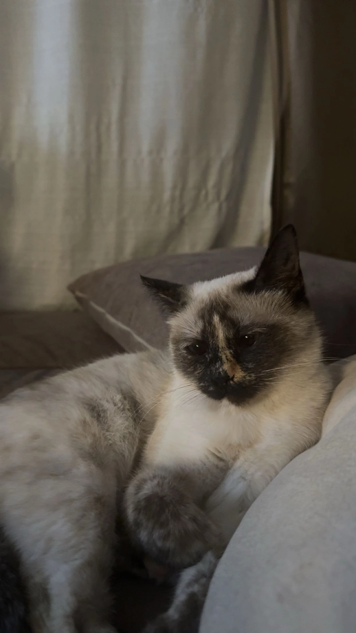 Perla - Siedlerstraße, Schwetzingen